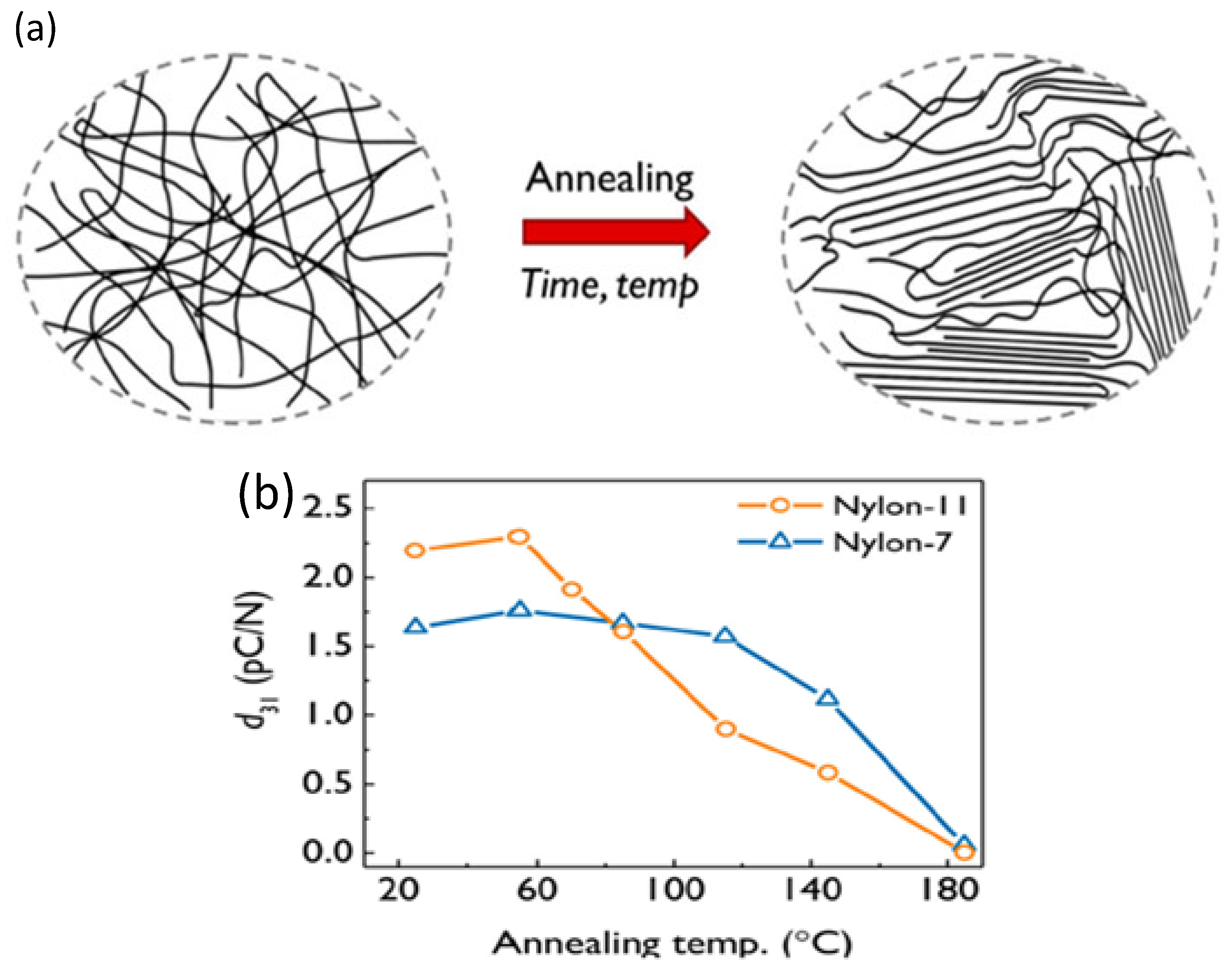 Polymers 17 00746 g012