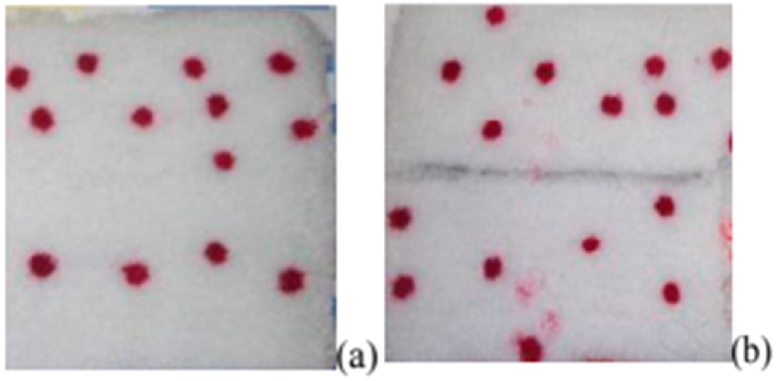 Polymers 17 00756 g005
