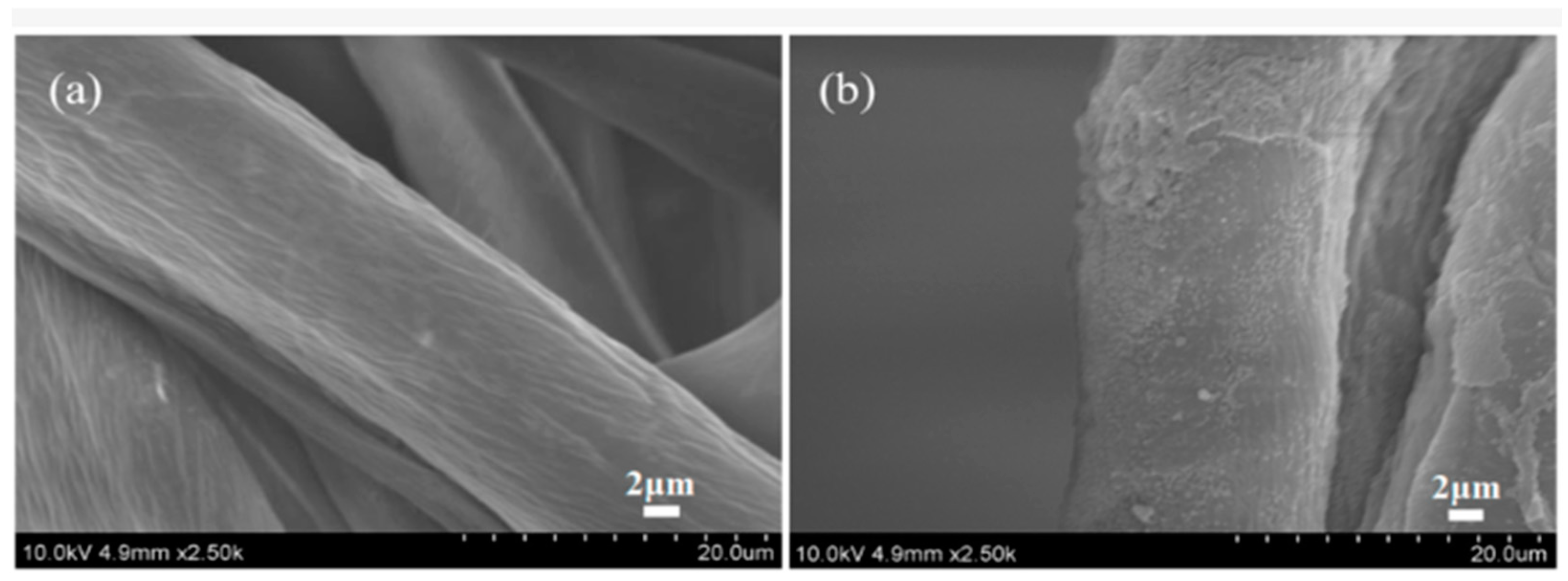 Polymers 17 00756 g014