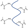 Polymers 17 00765 i001