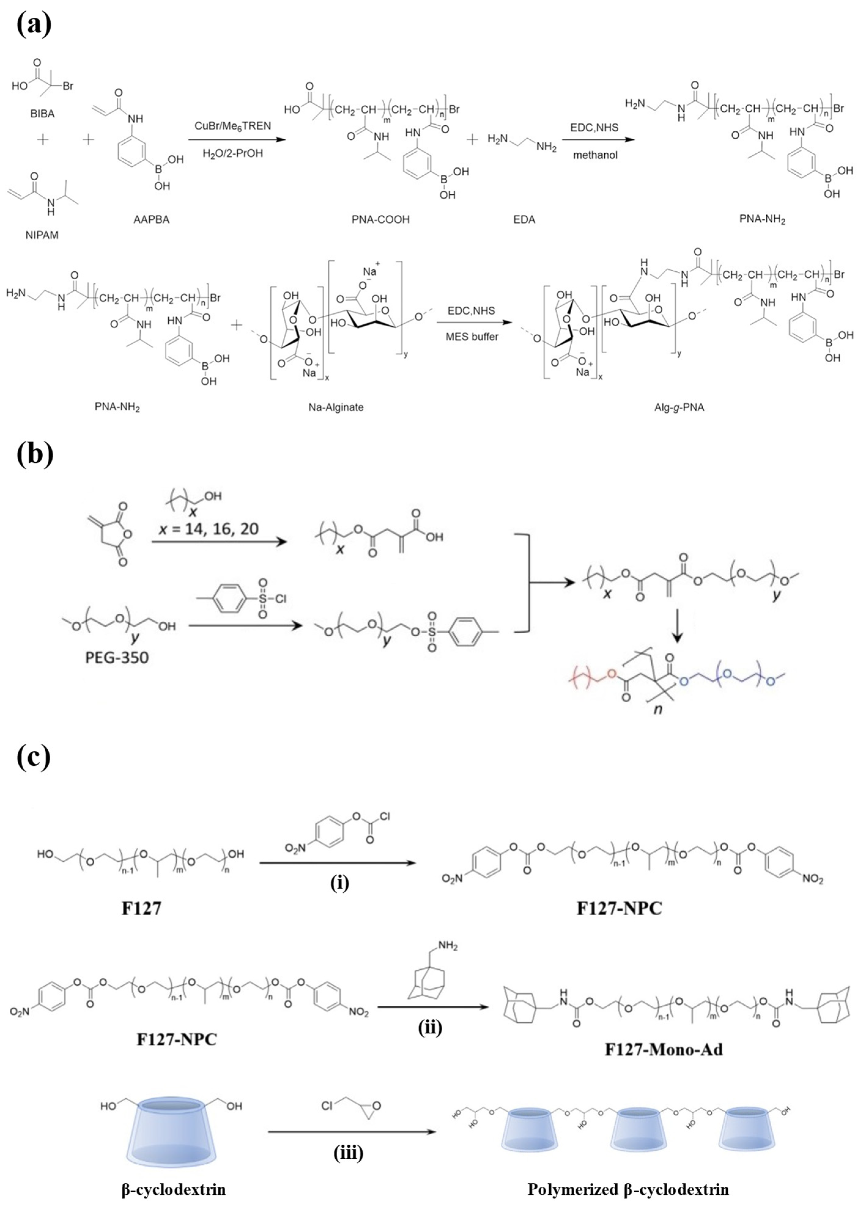 Polymers 17 00780 g003
