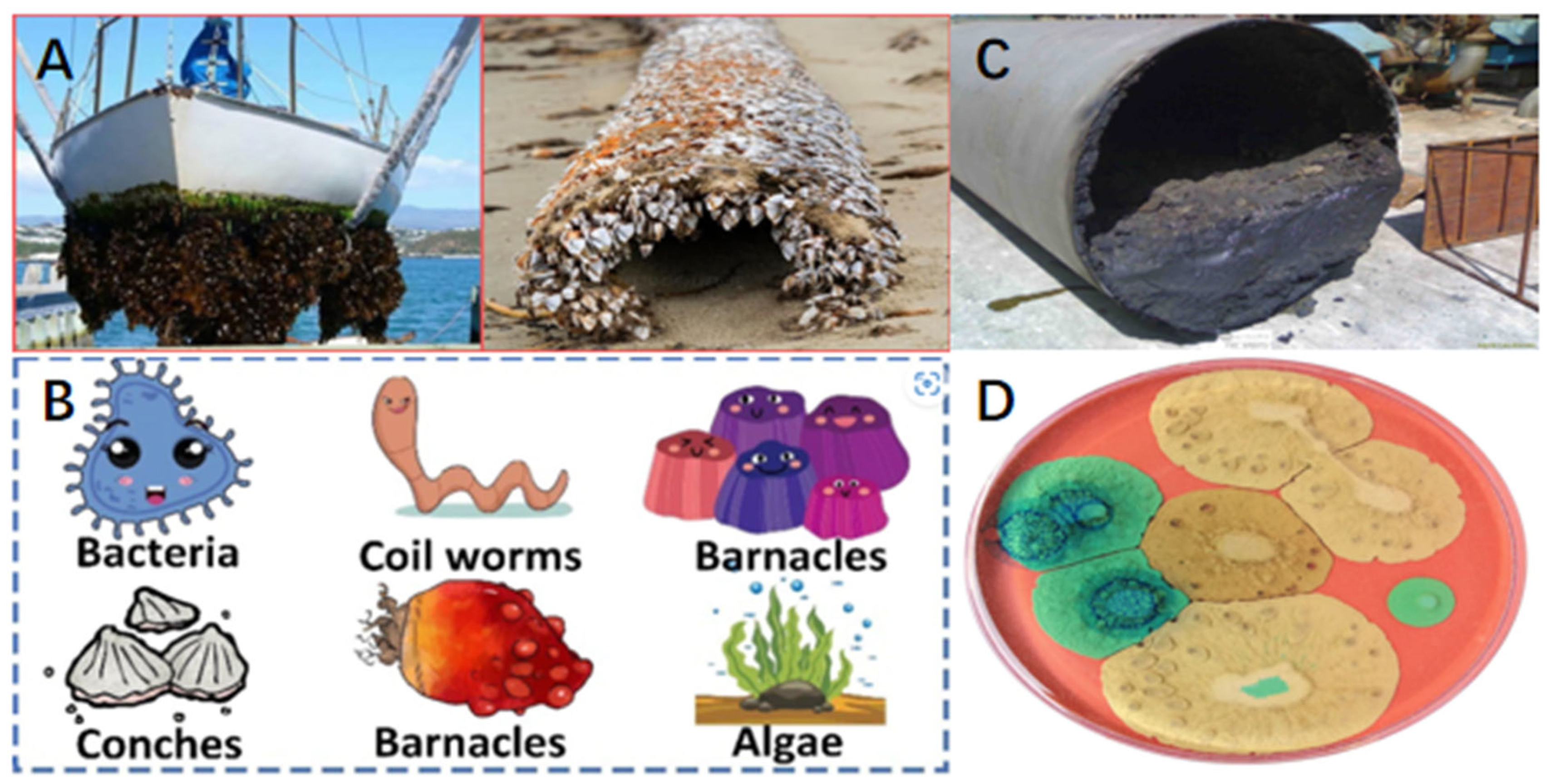 Polymers 17 00793 g001