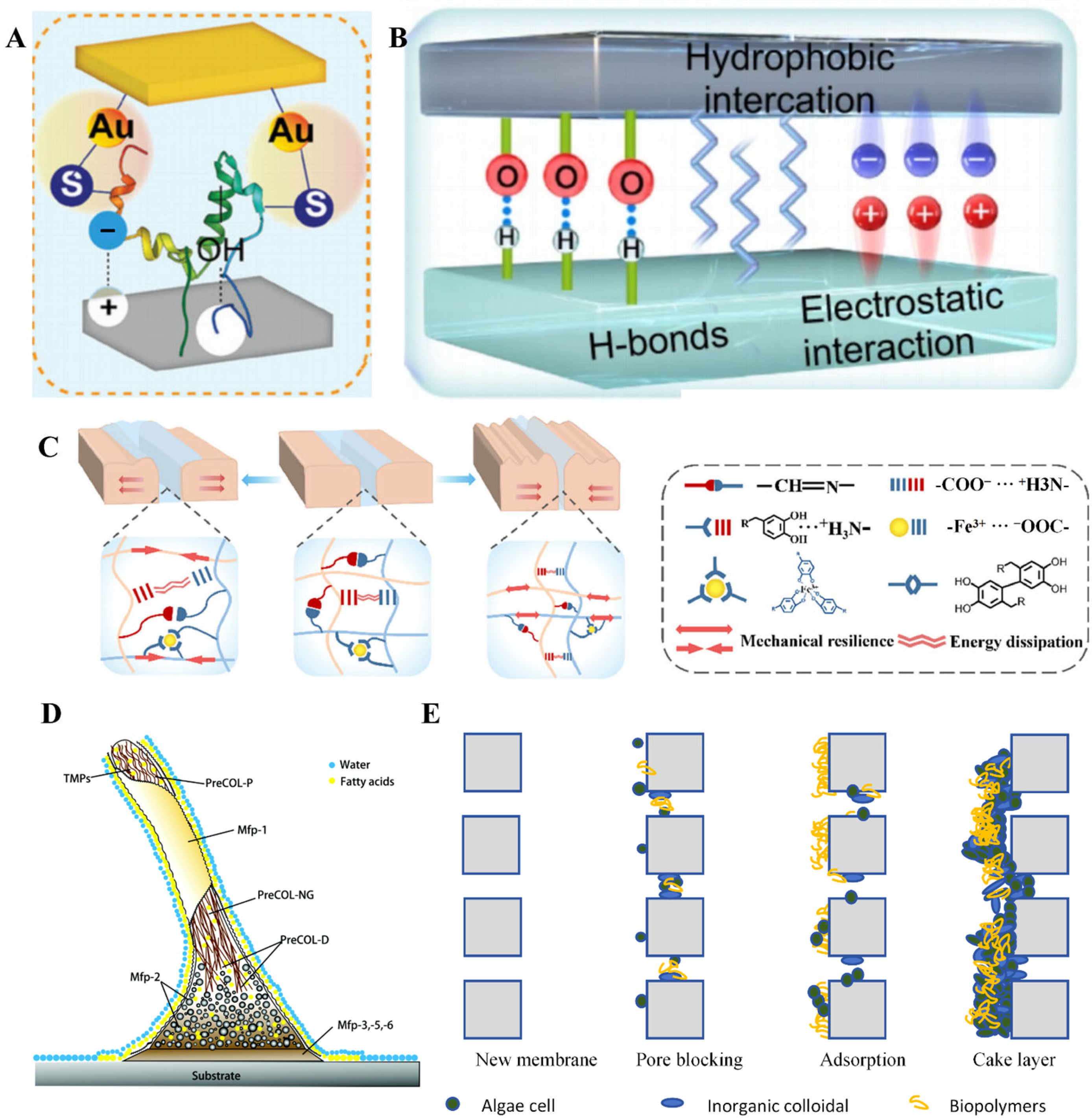 Polymers 17 00793 g002