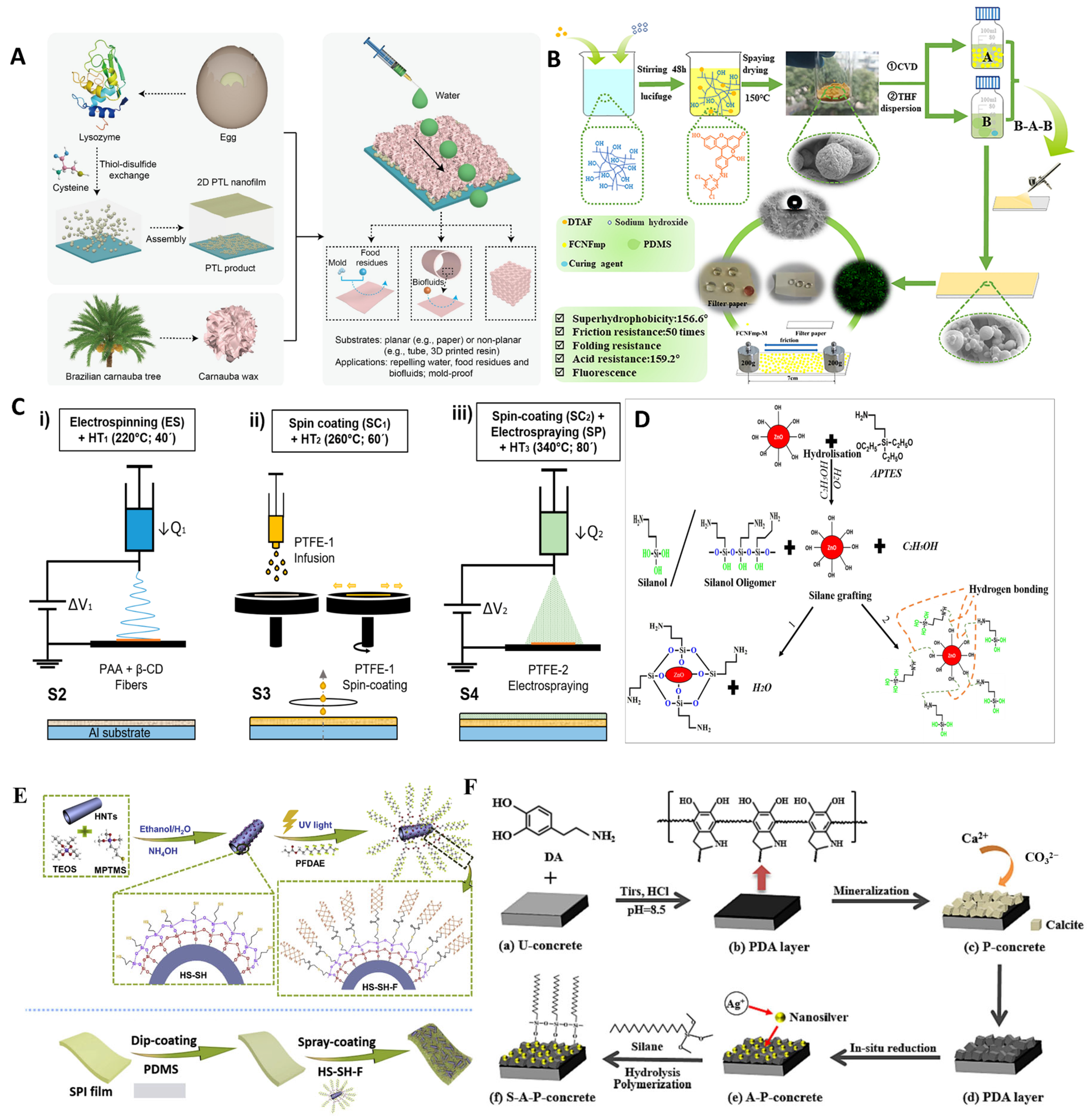 Polymers 17 00793 g006