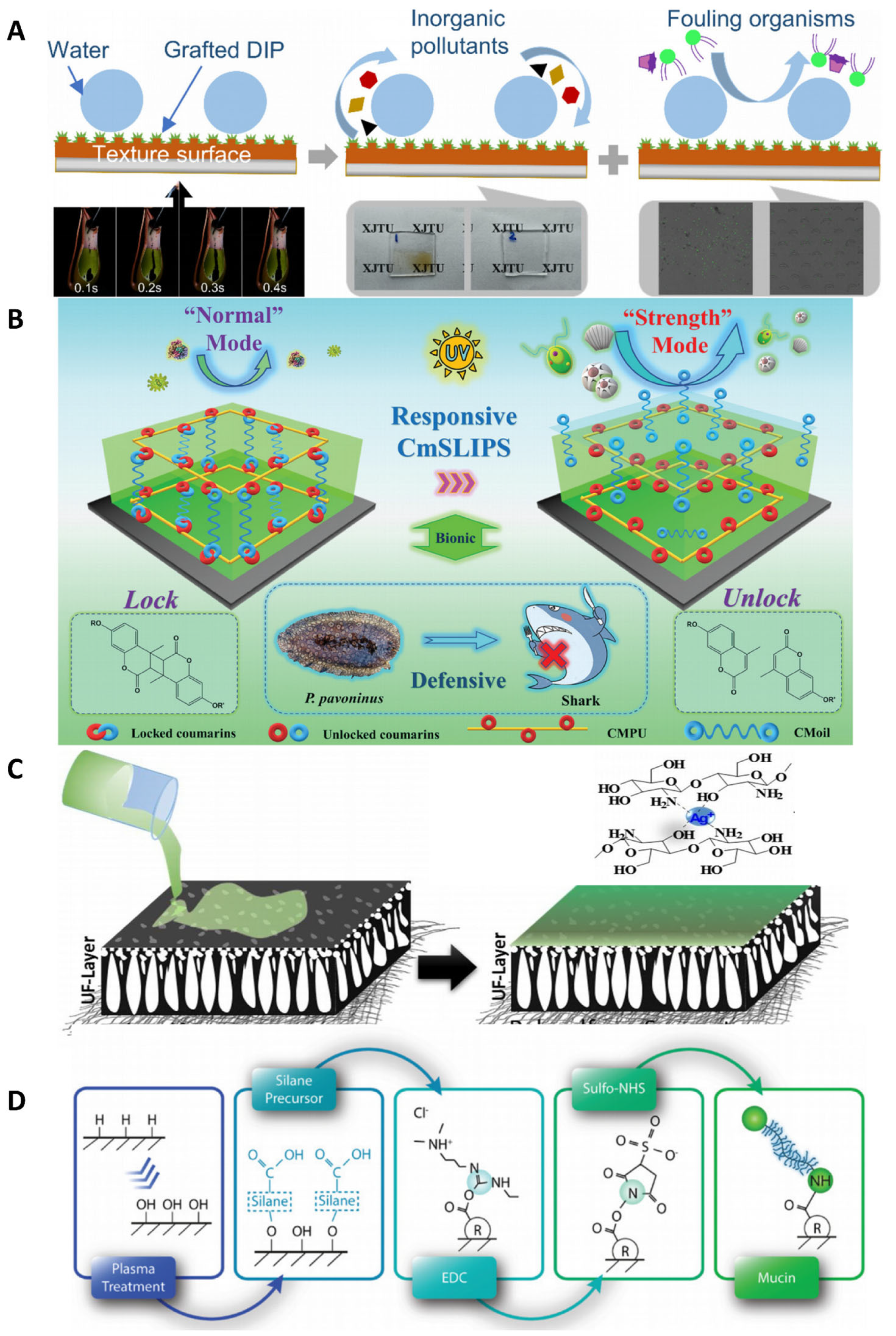 Polymers 17 00793 g007