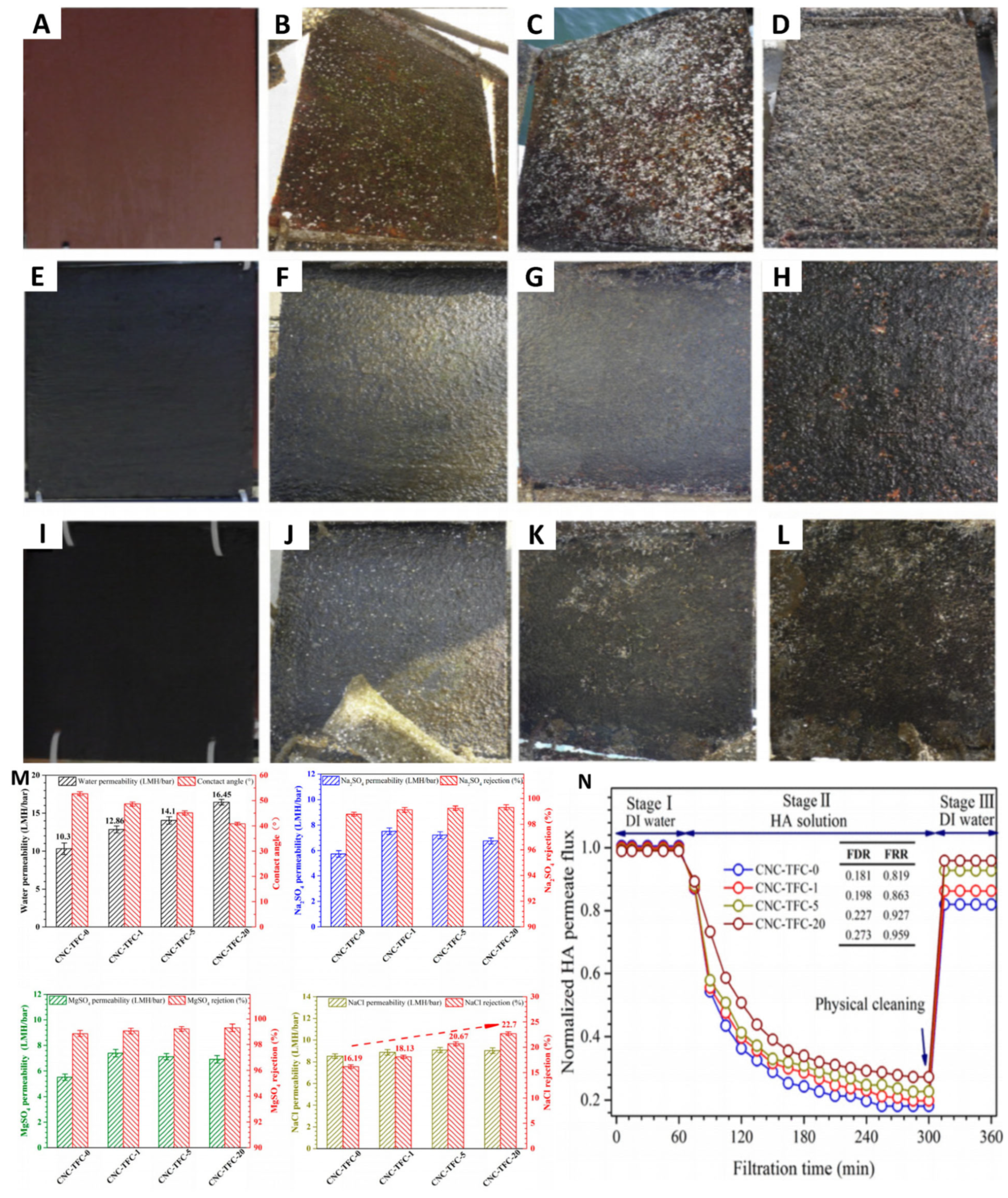 Polymers 17 00793 g009