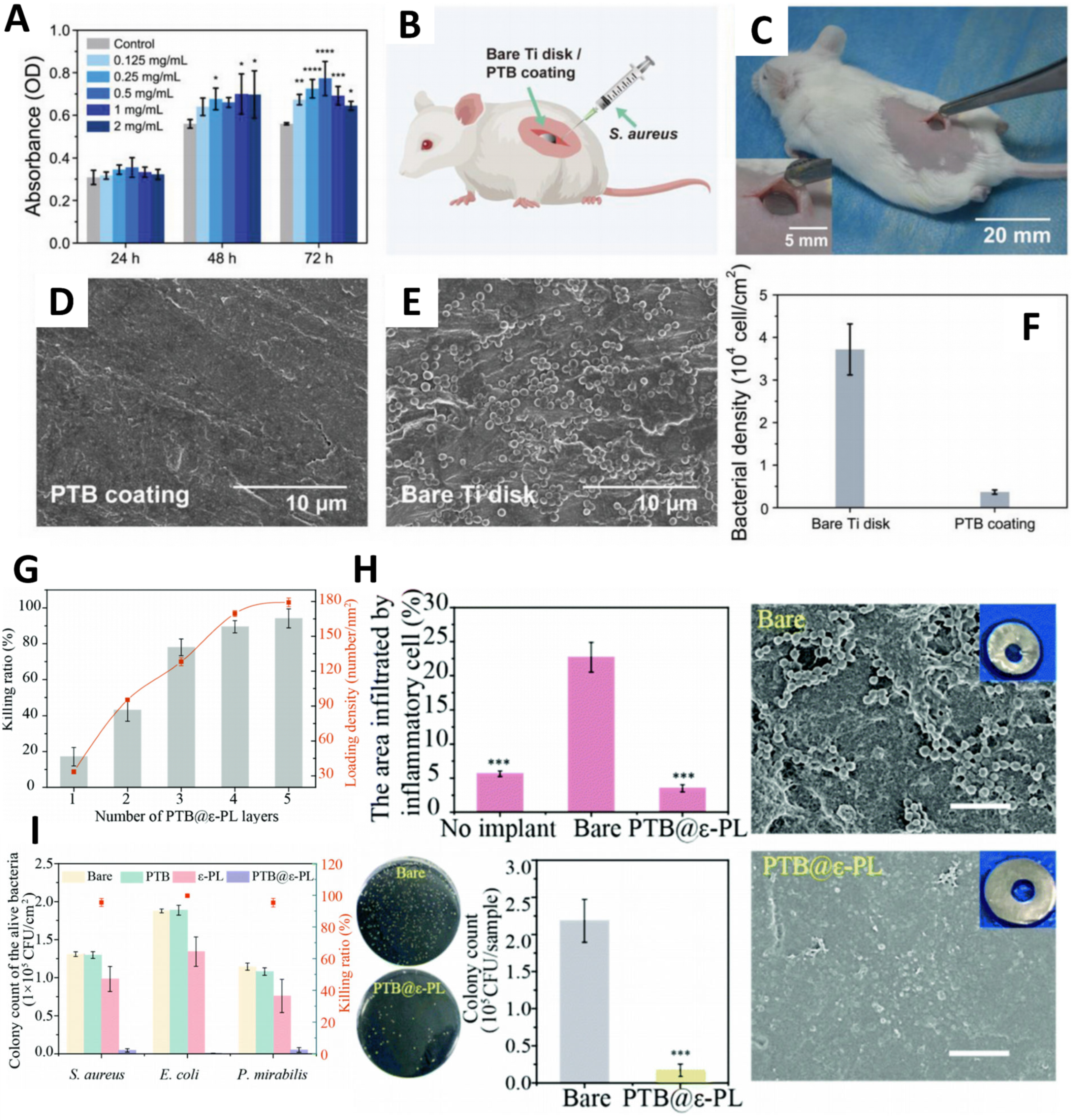 Polymers 17 00793 g010