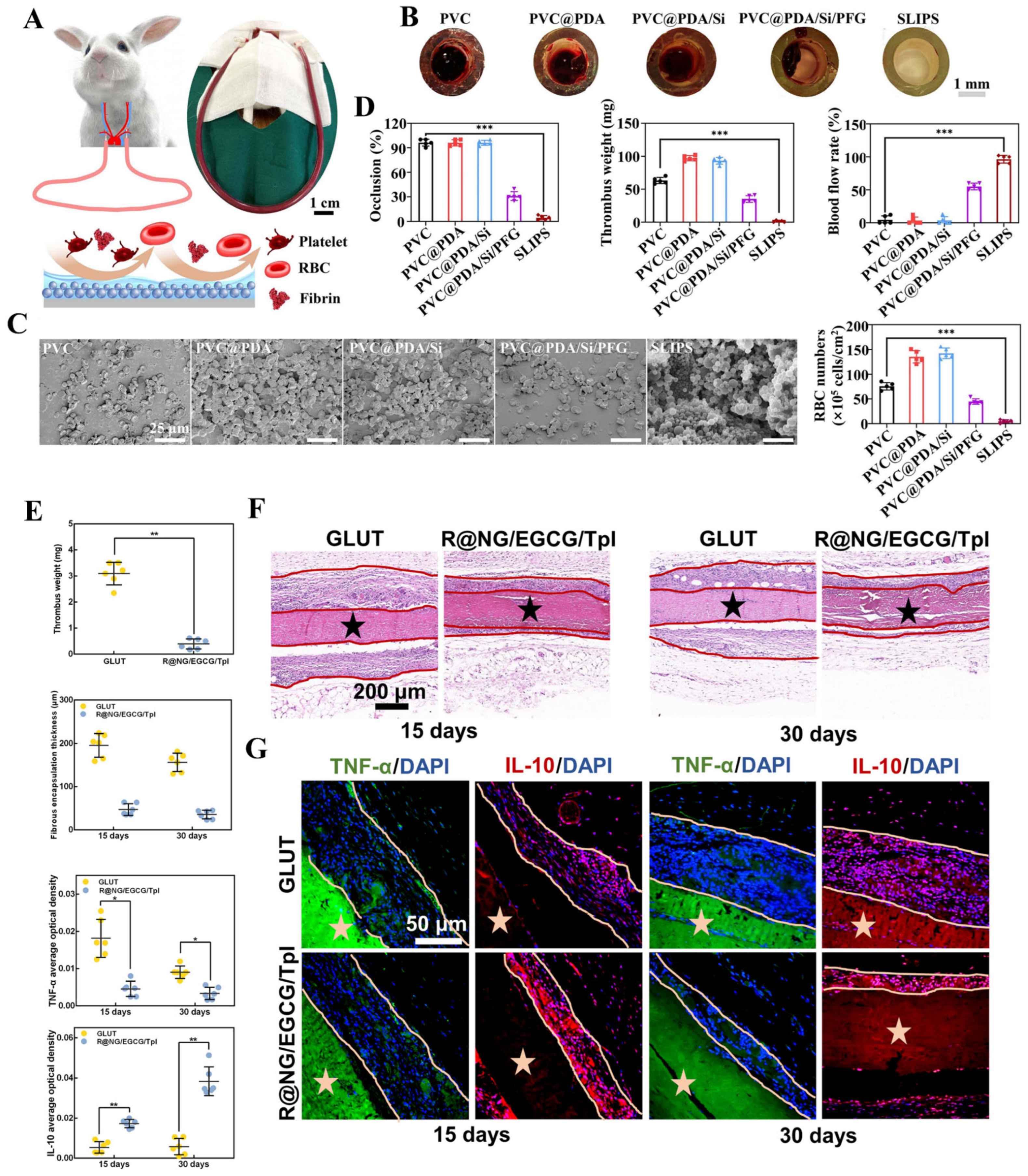 Polymers 17 00793 g012