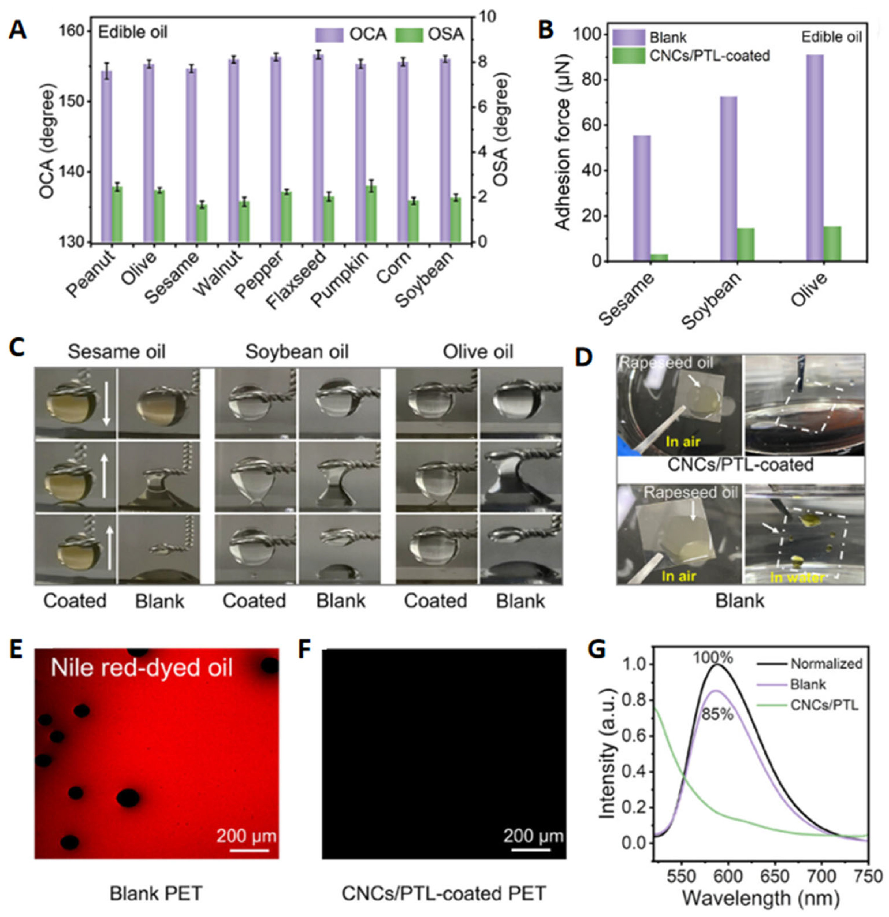 Polymers 17 00793 g013