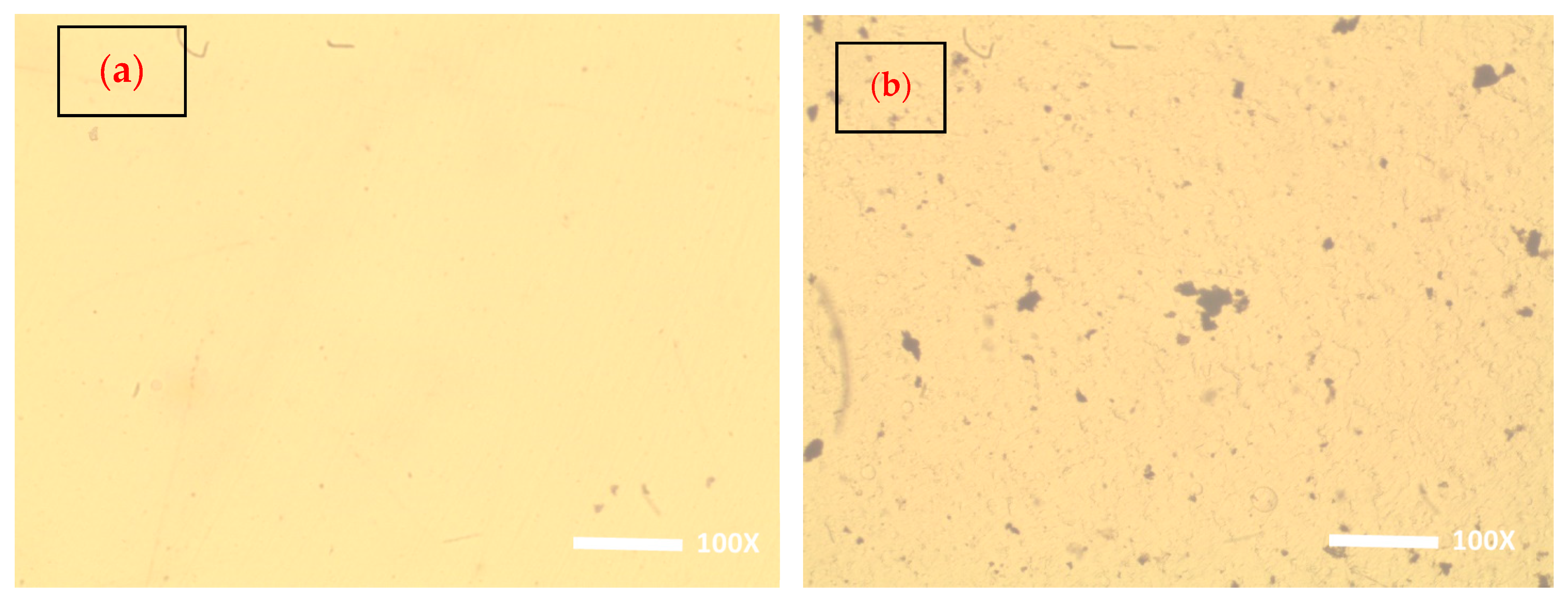 Polymers 17 00818 g002a