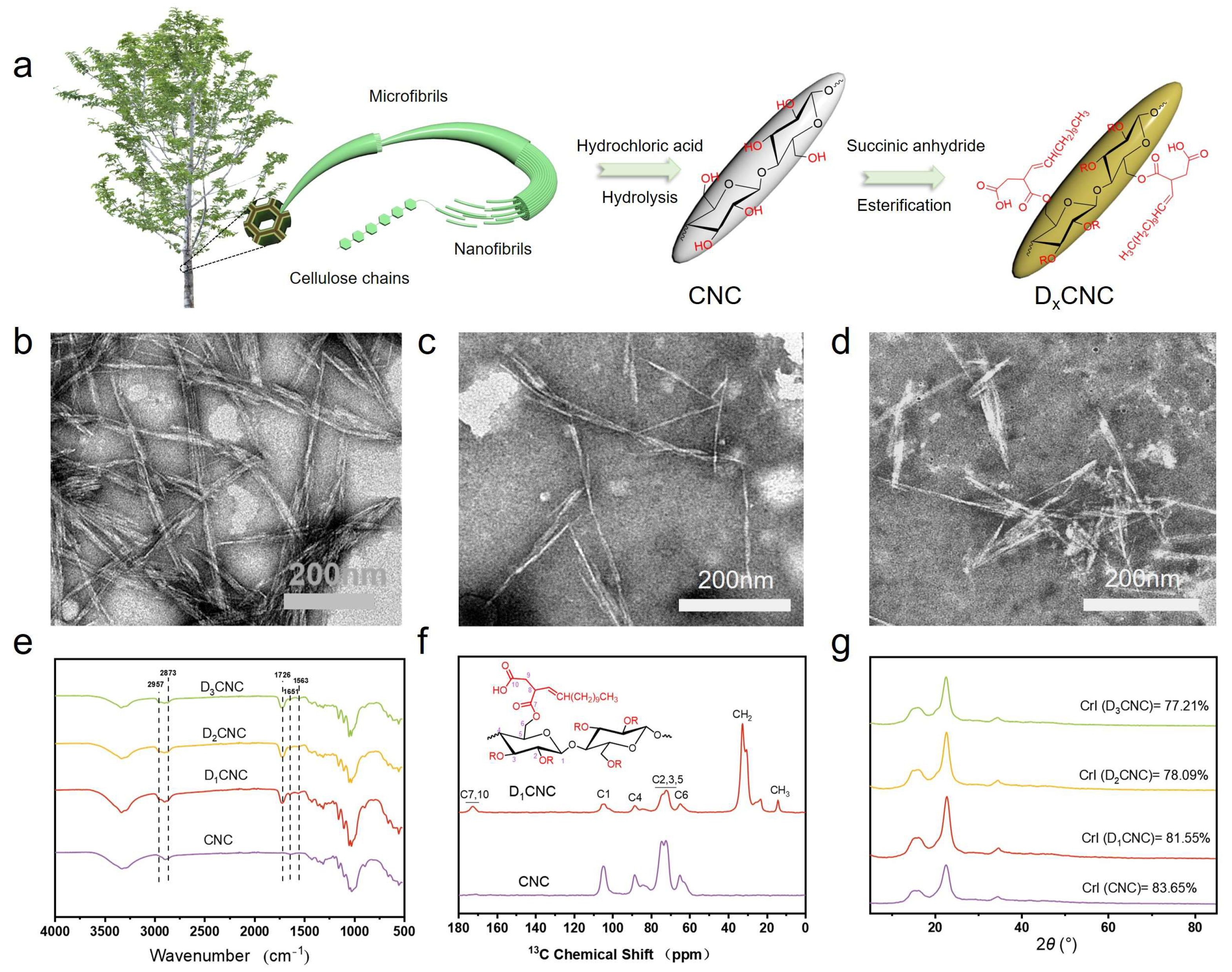 Polymers 17 00830 g001