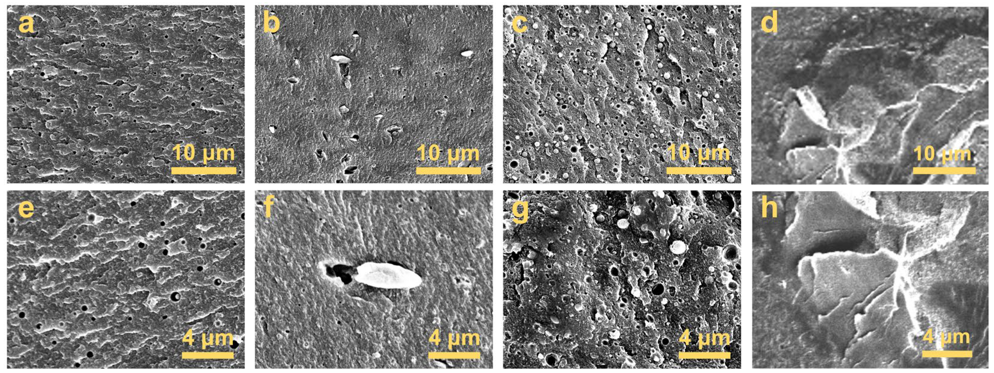 Polymers 17 00835 g010