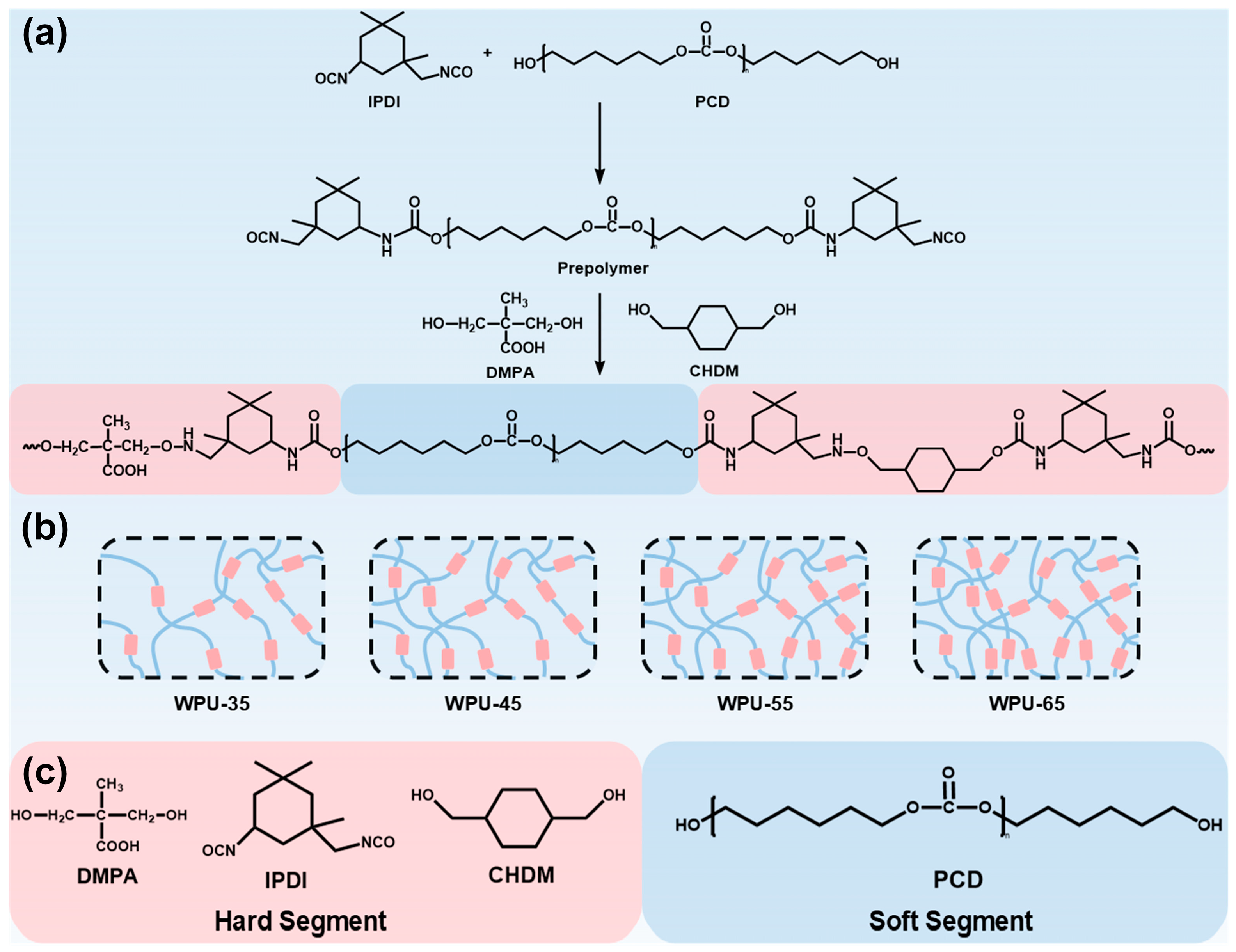 Polymers 17 00837 g001