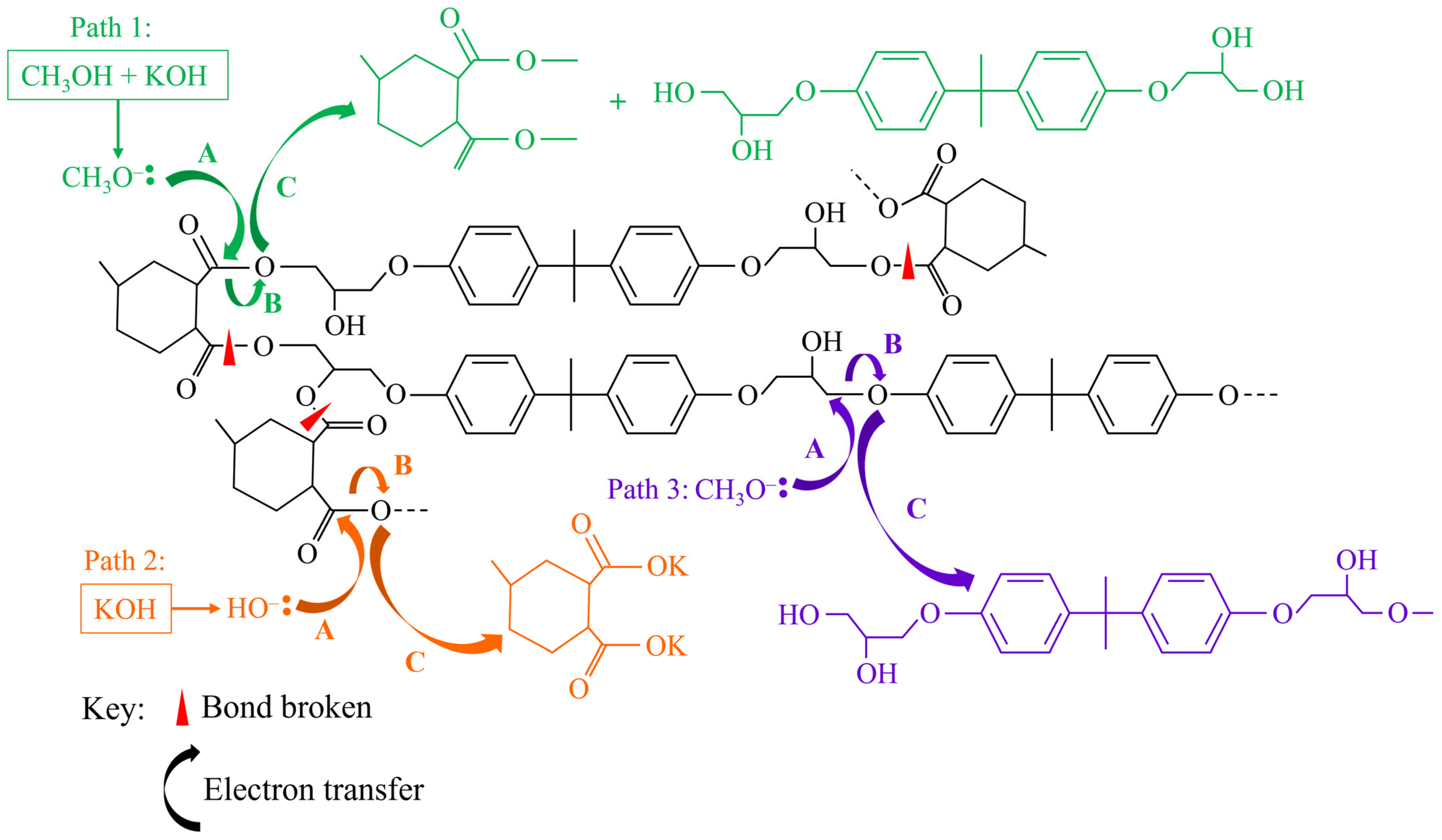 Polymers 17 00843 g004