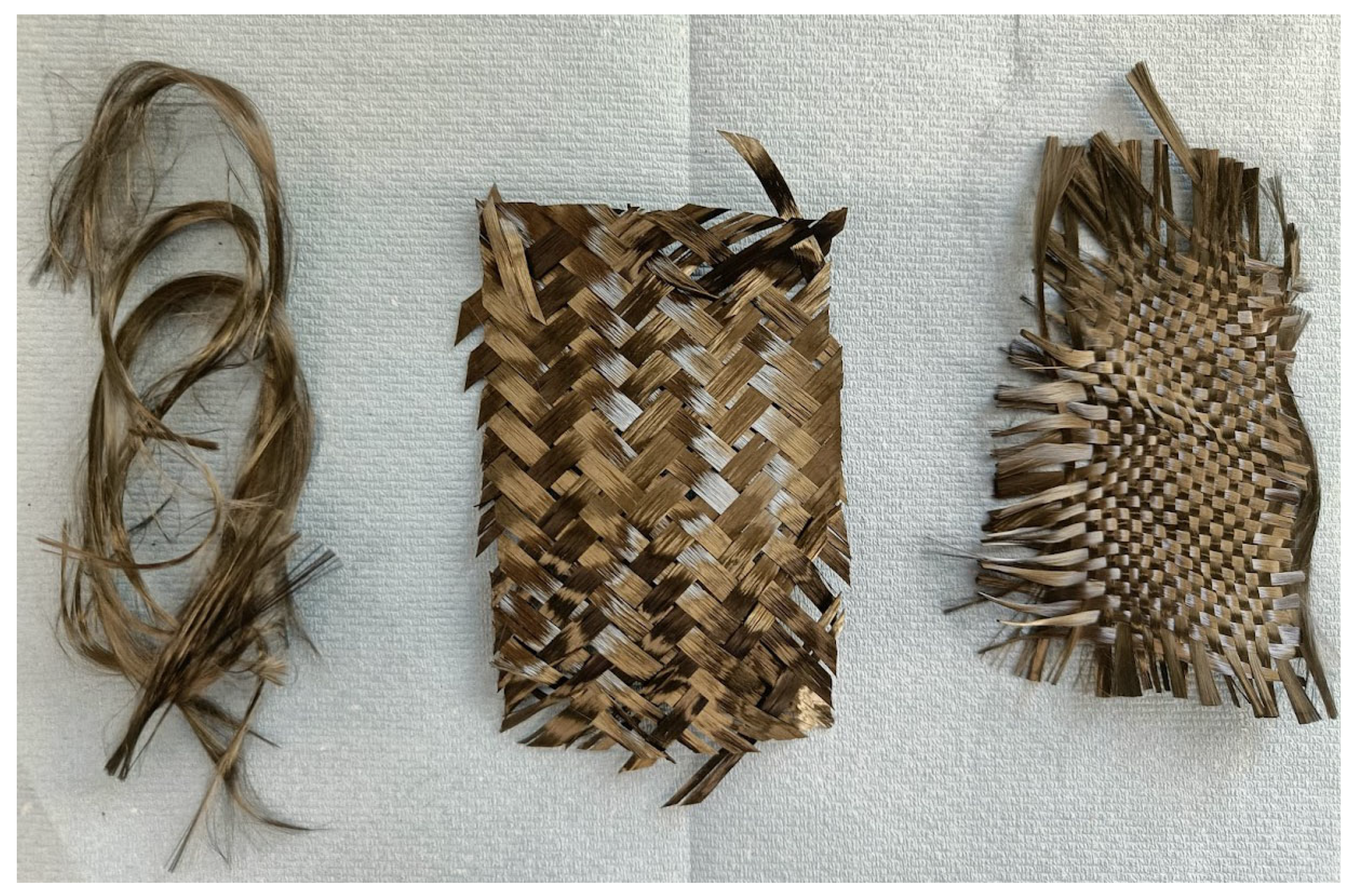 Polymers 17 00843 g006