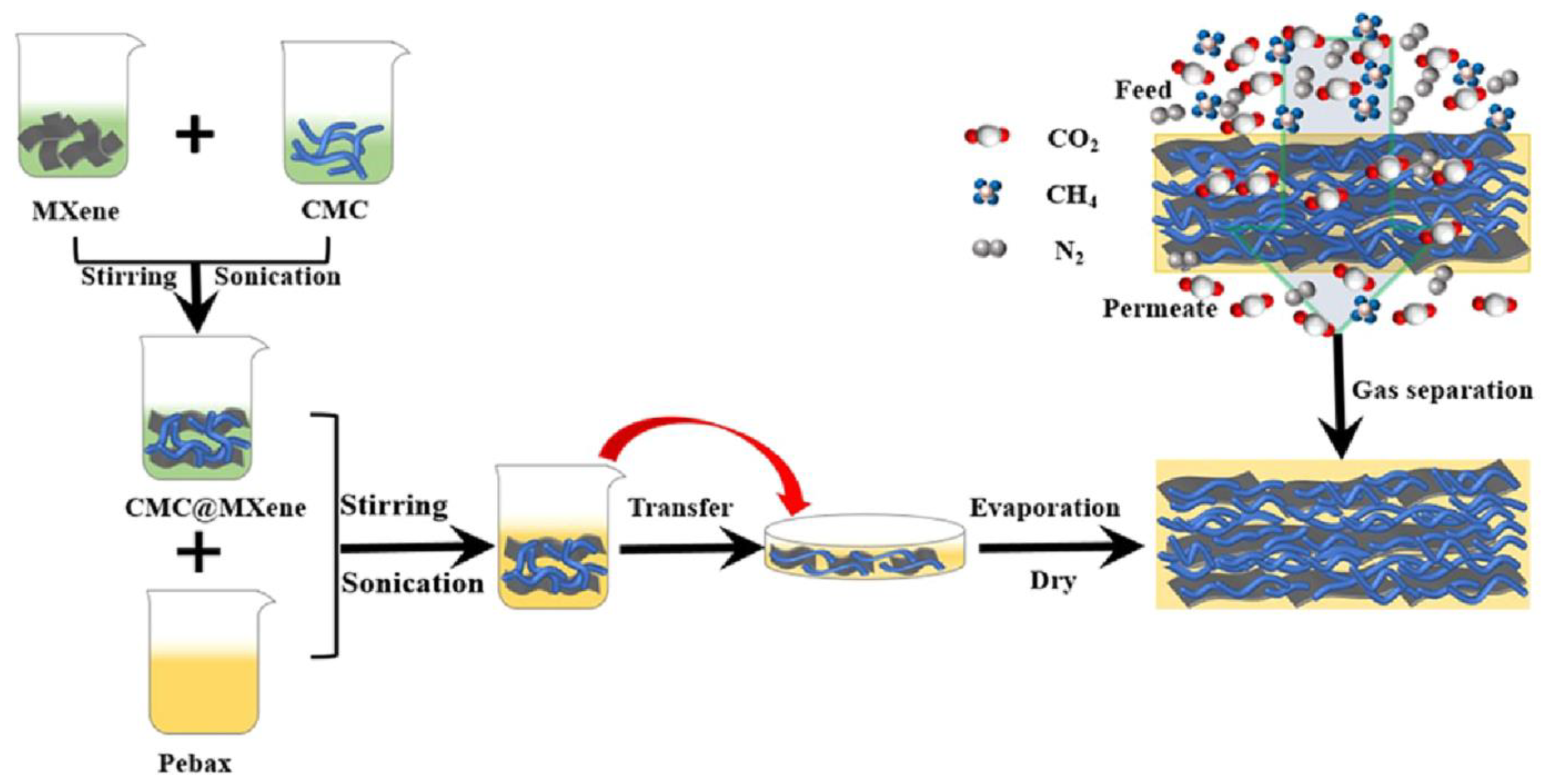 Polymers 17 00848 g001