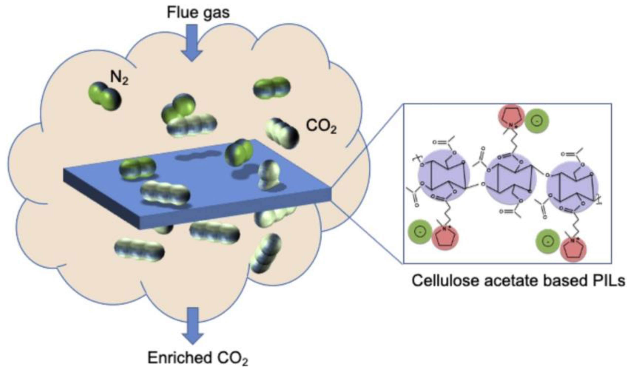 Polymers 17 00848 g002