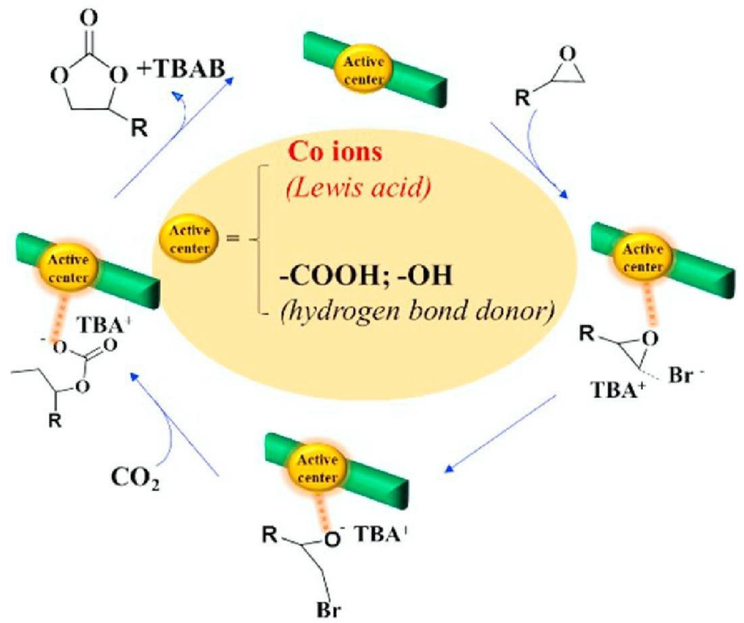 Polymers 17 00848 g010