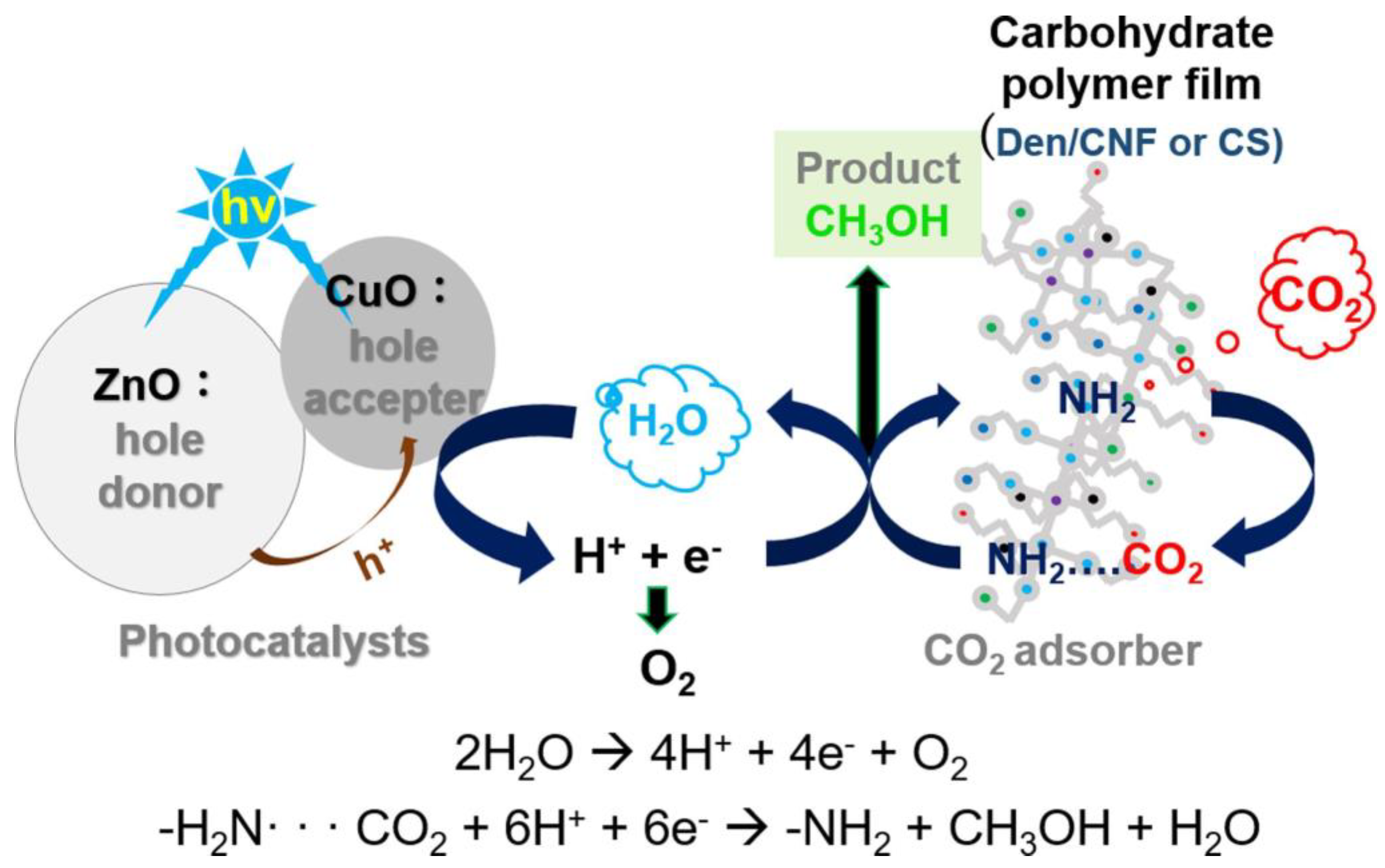 Polymers 17 00848 g012