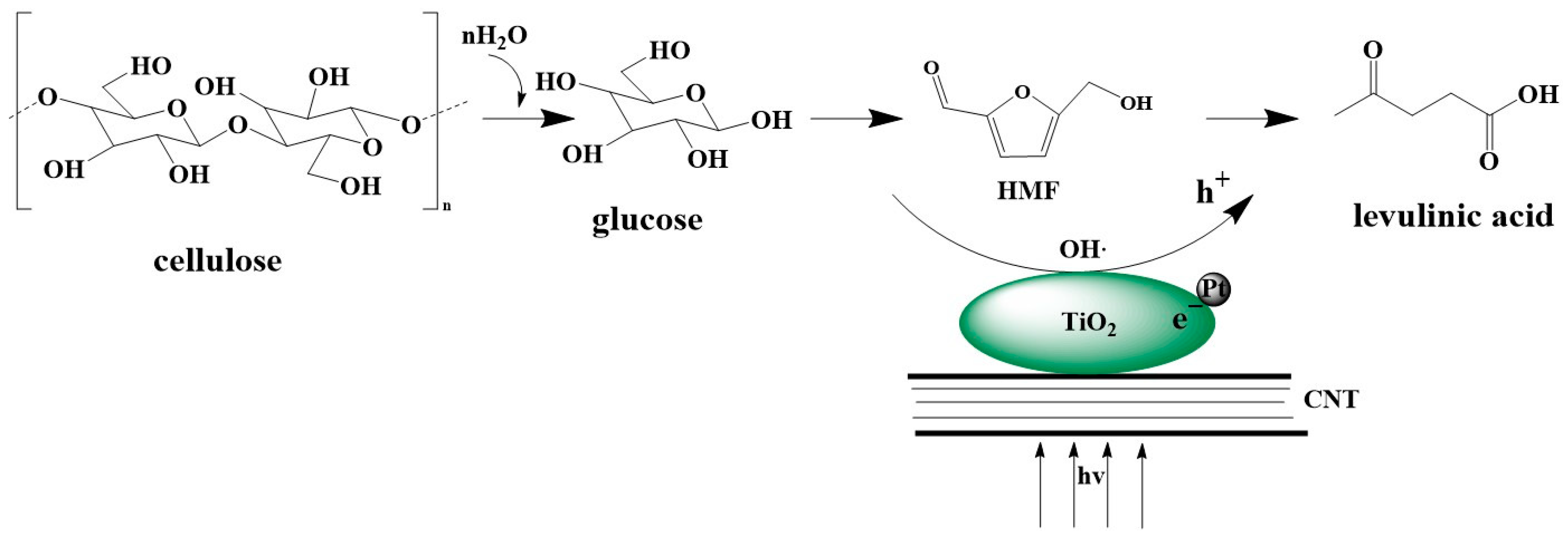 Polymers 17 00857 g007