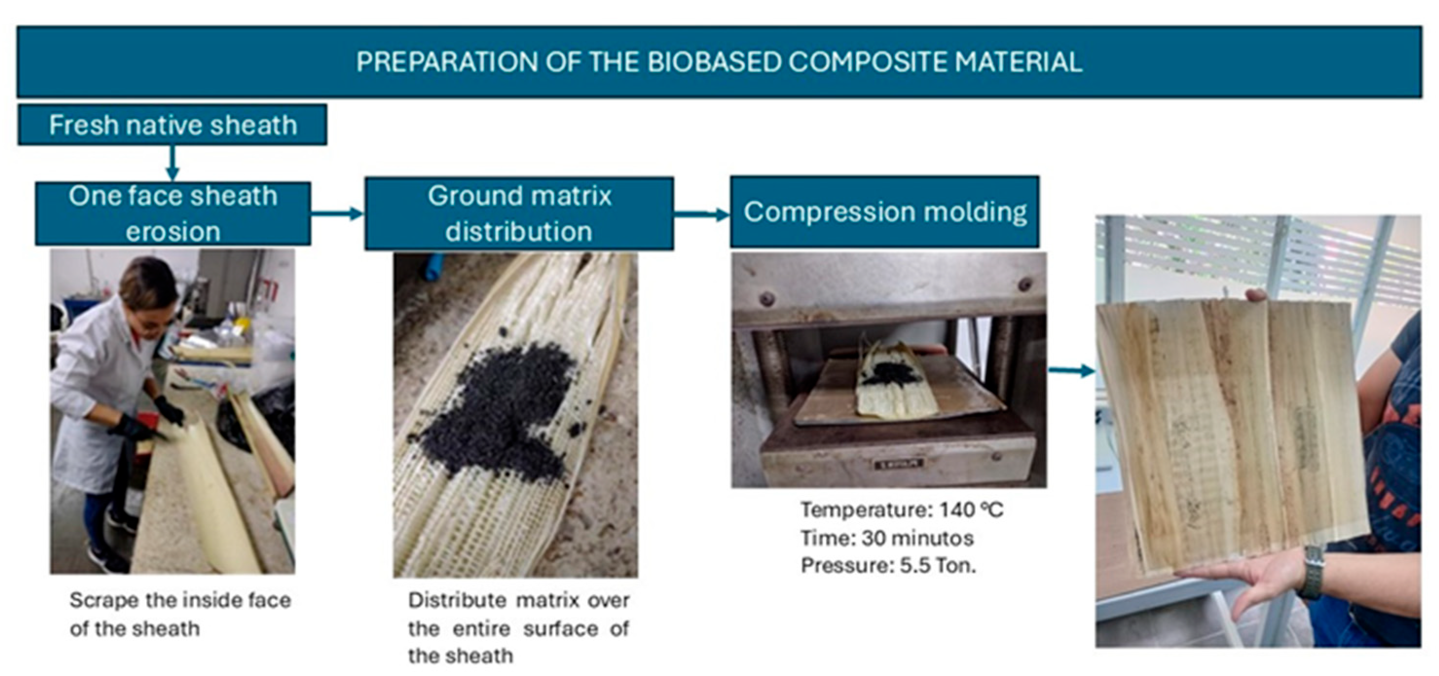 Polymers 17 00859 g002
