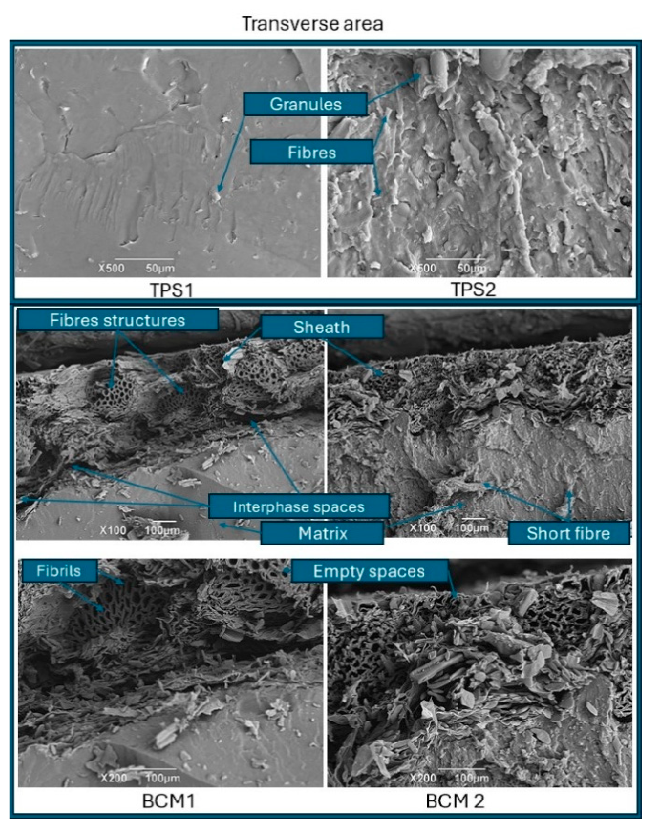 Polymers 17 00859 g003