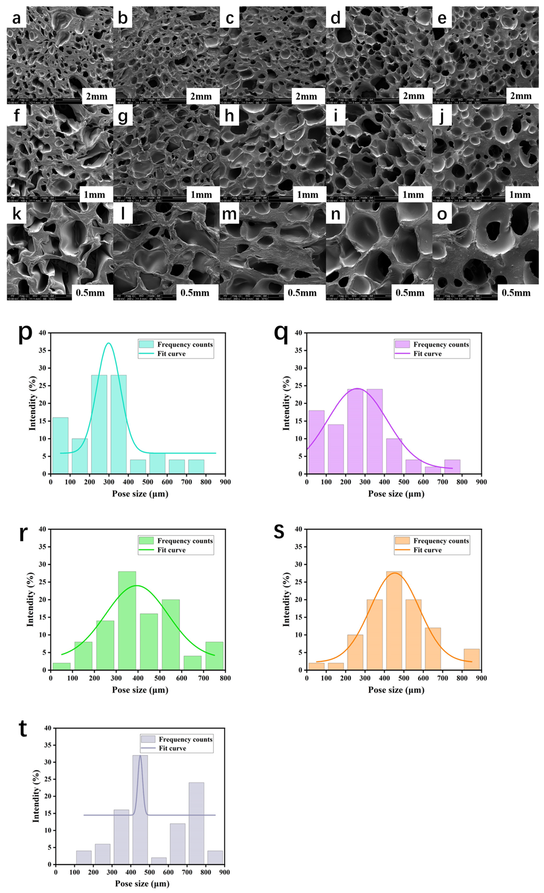 Polymers 17 00872 g005