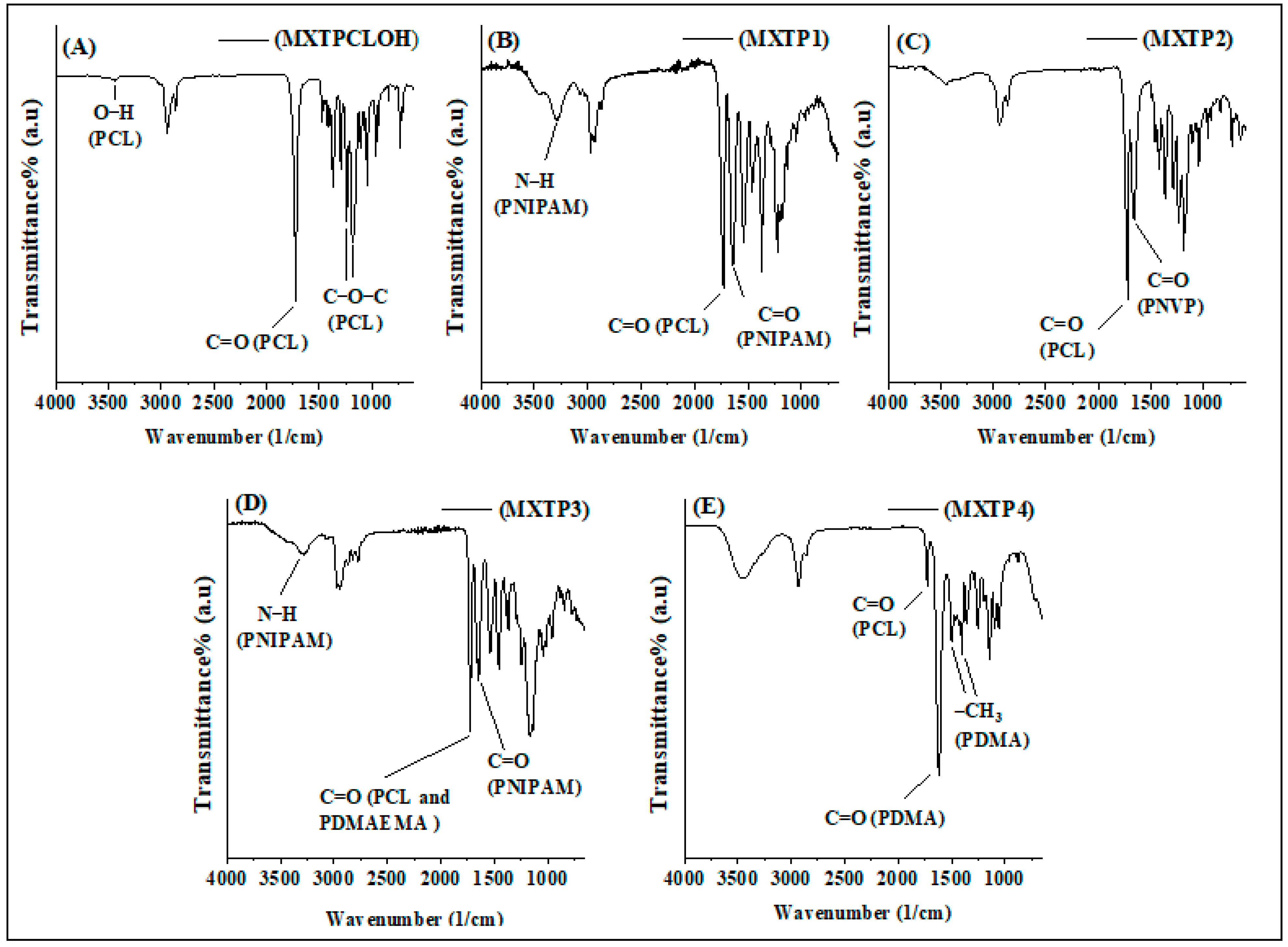 Polymers 17 00873 g001