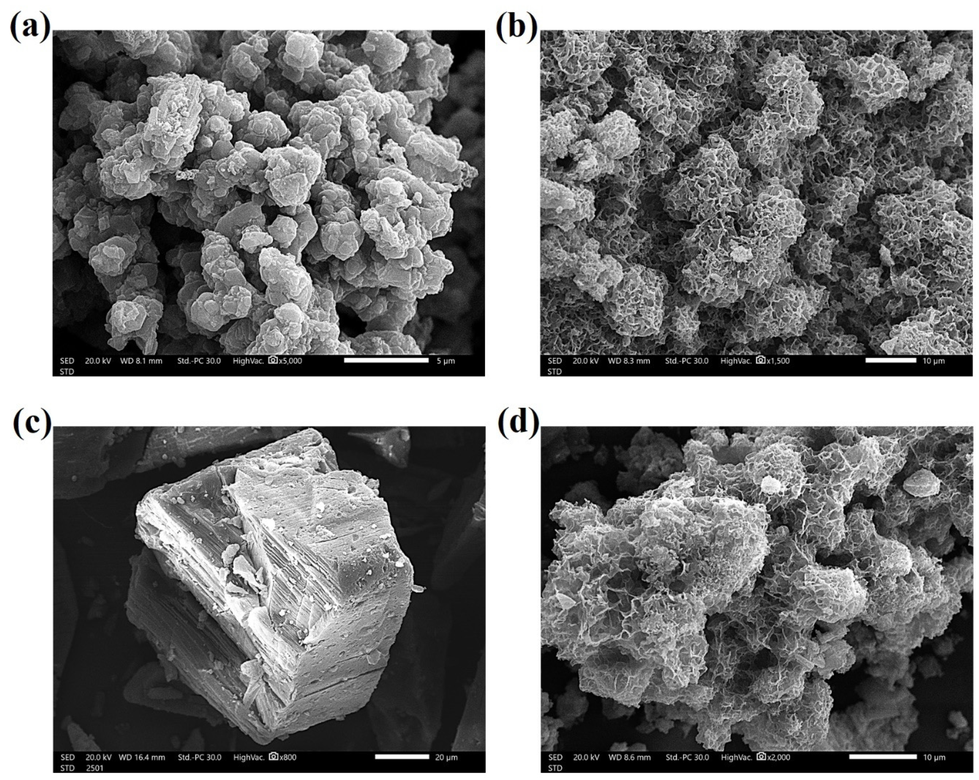 Polymers 17 00876 g002