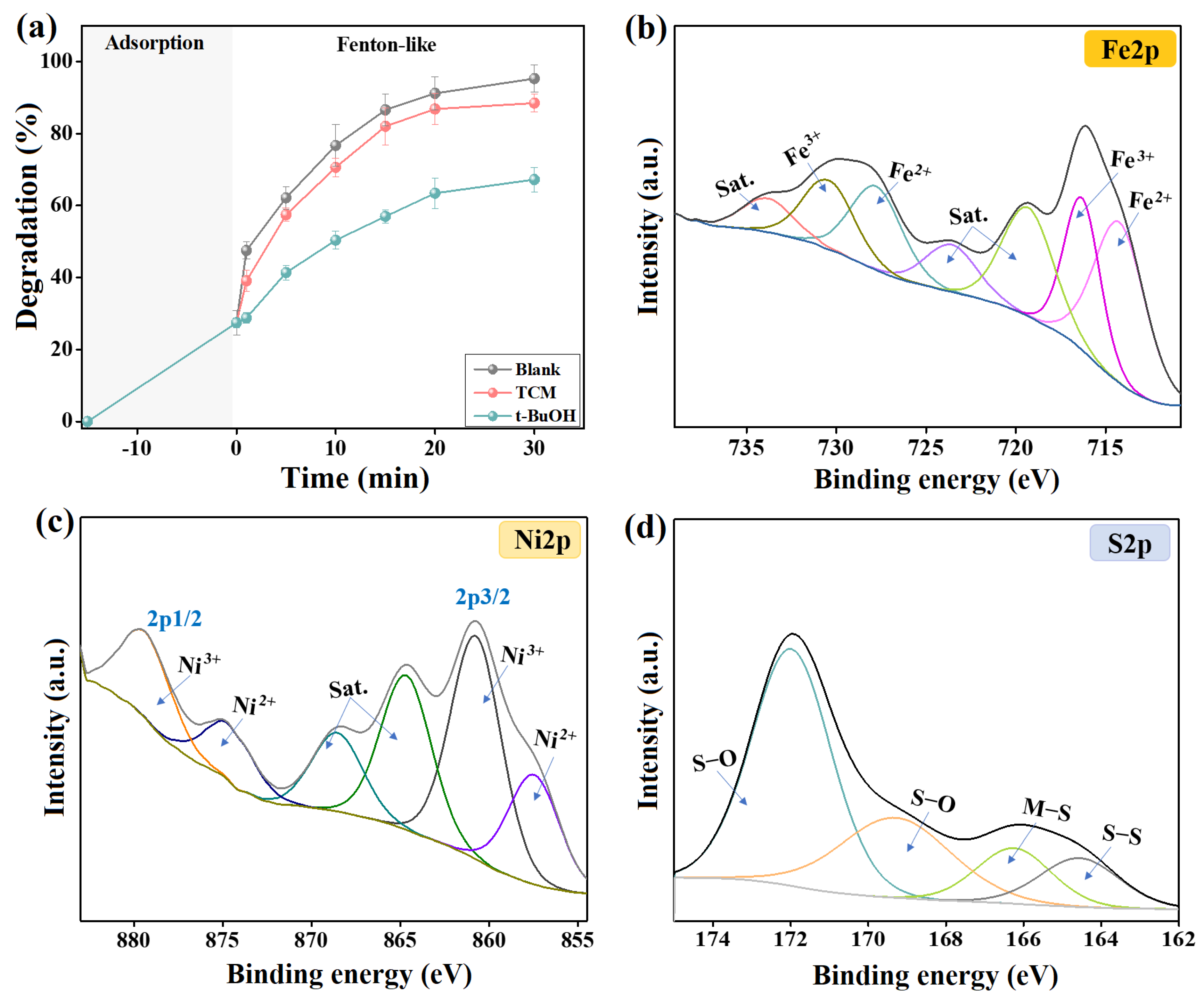 Polymers 17 00876 g006
