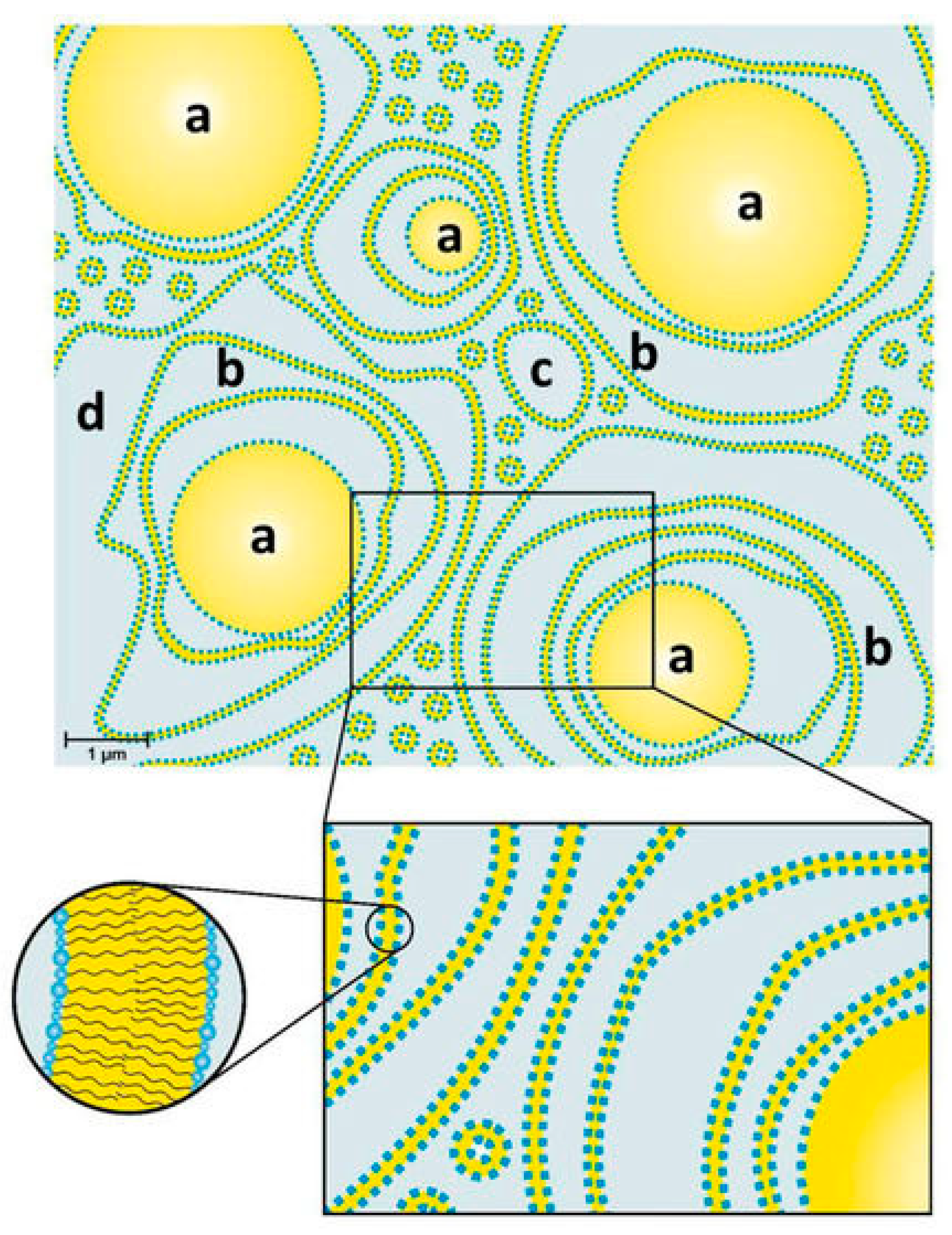 Polymers 17 00879 g002