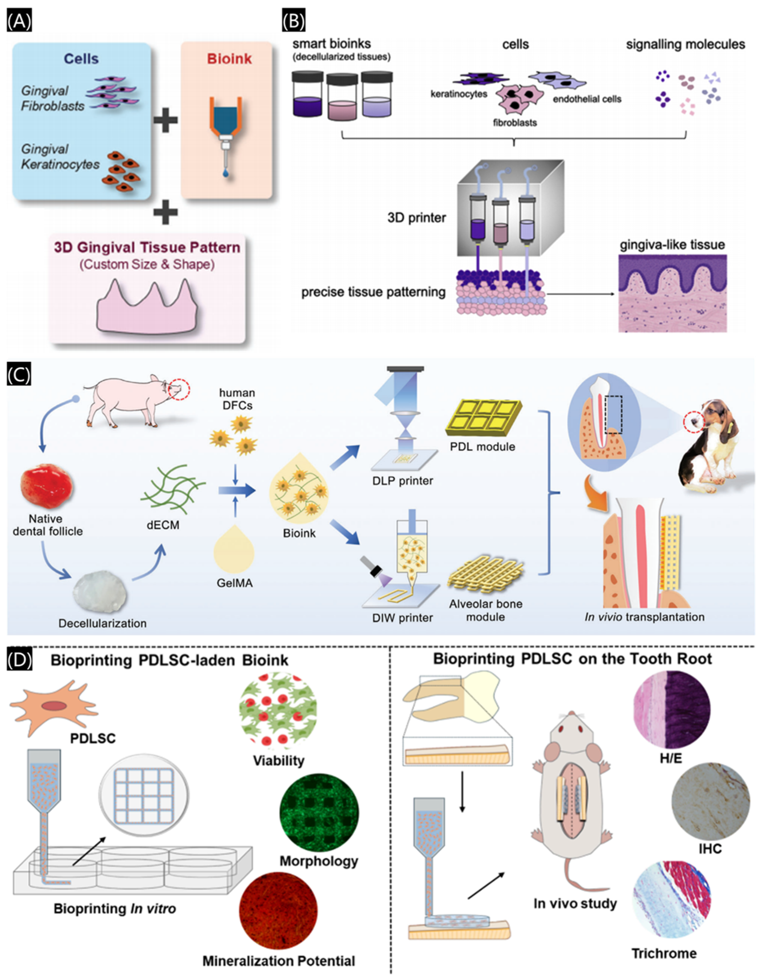 Polymers 17 00886 g015