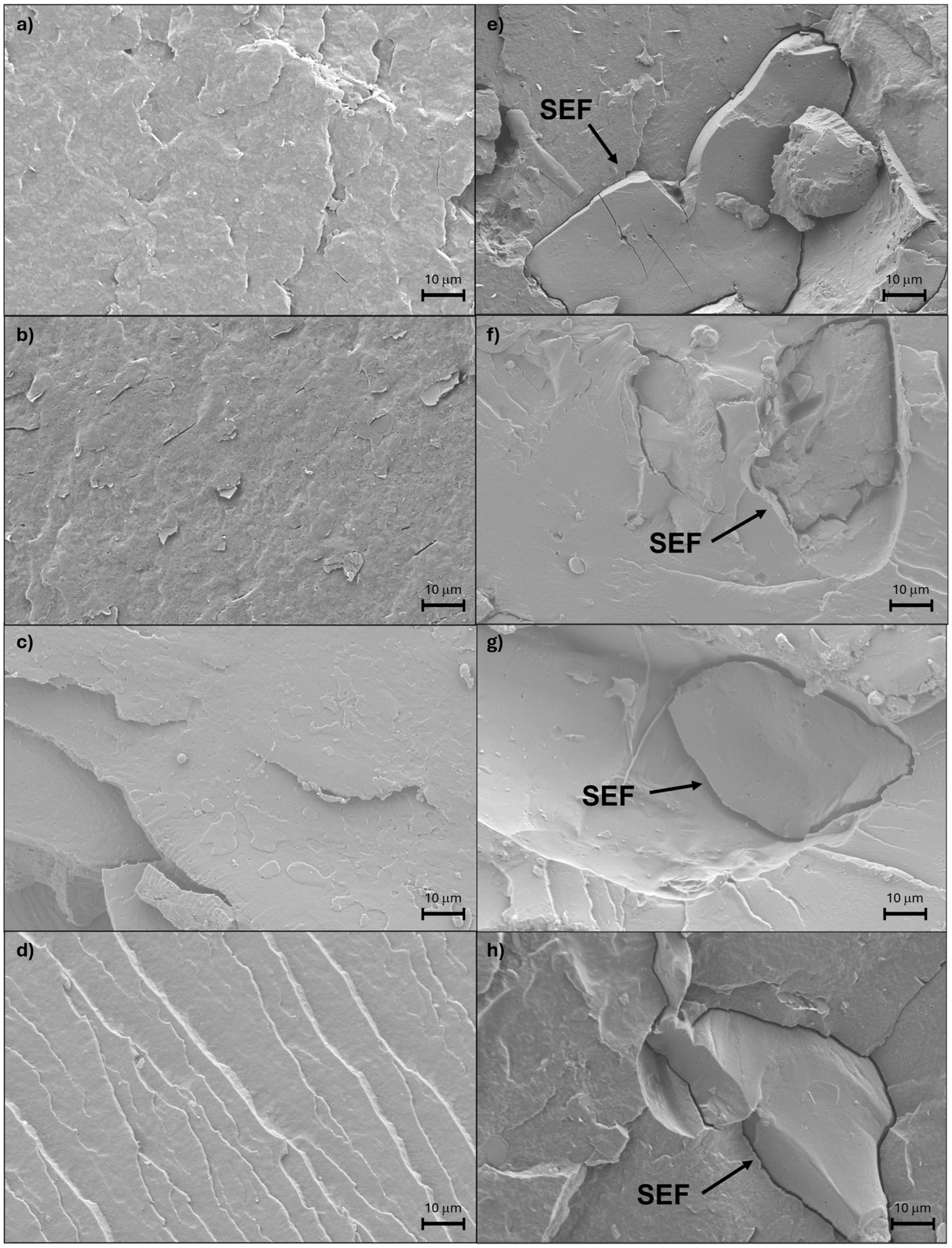 Polymers 17 00910 g002