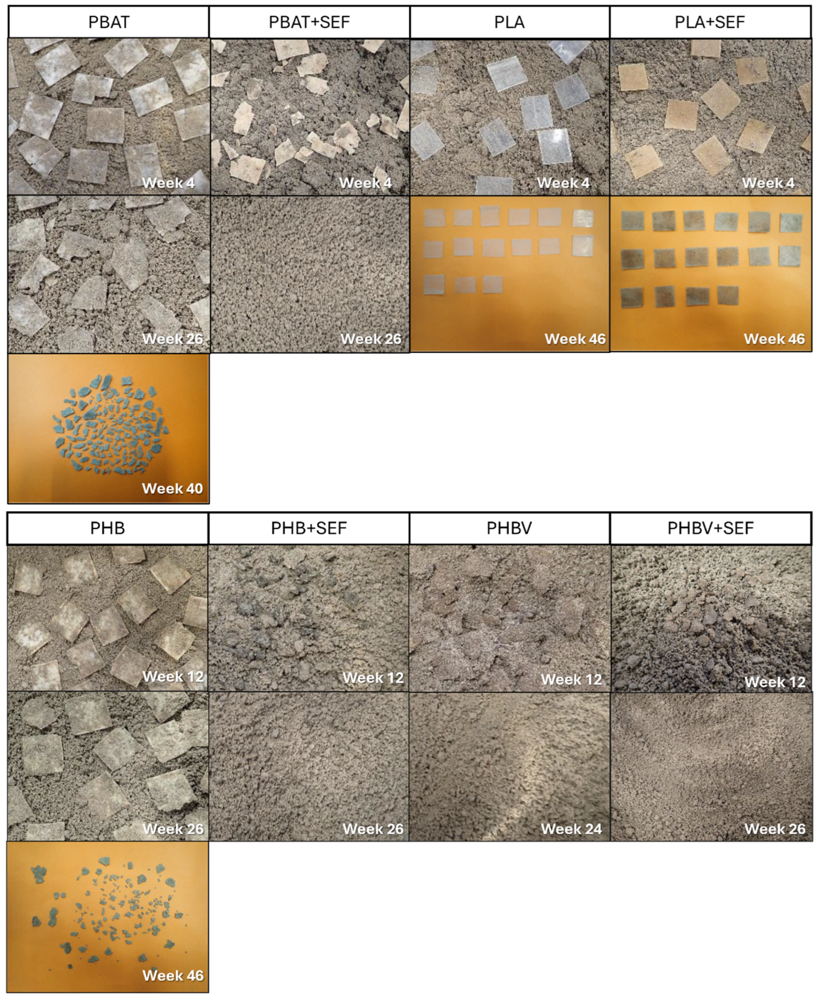 Polymers 17 00910 g003