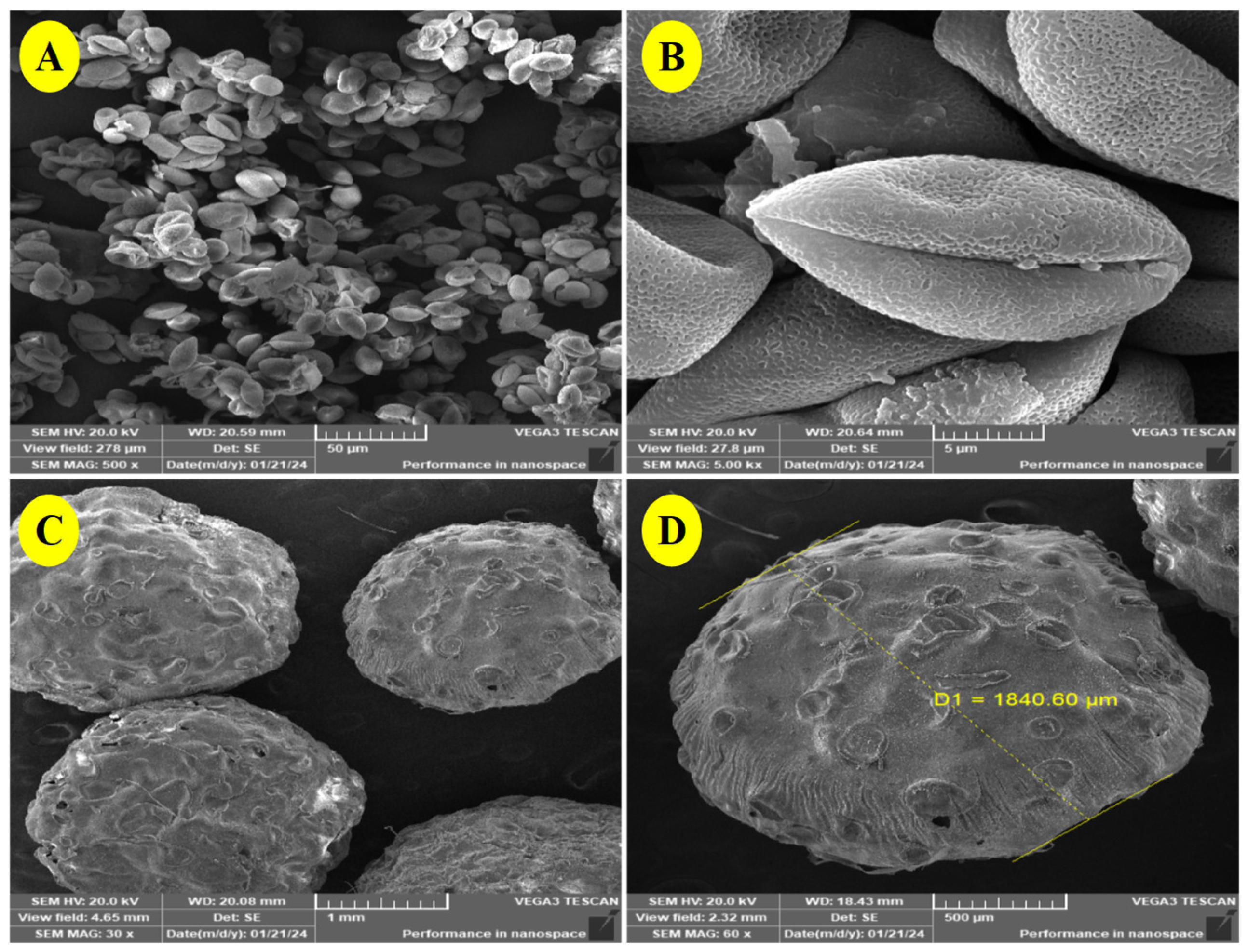 Polymers 17 00912 g003