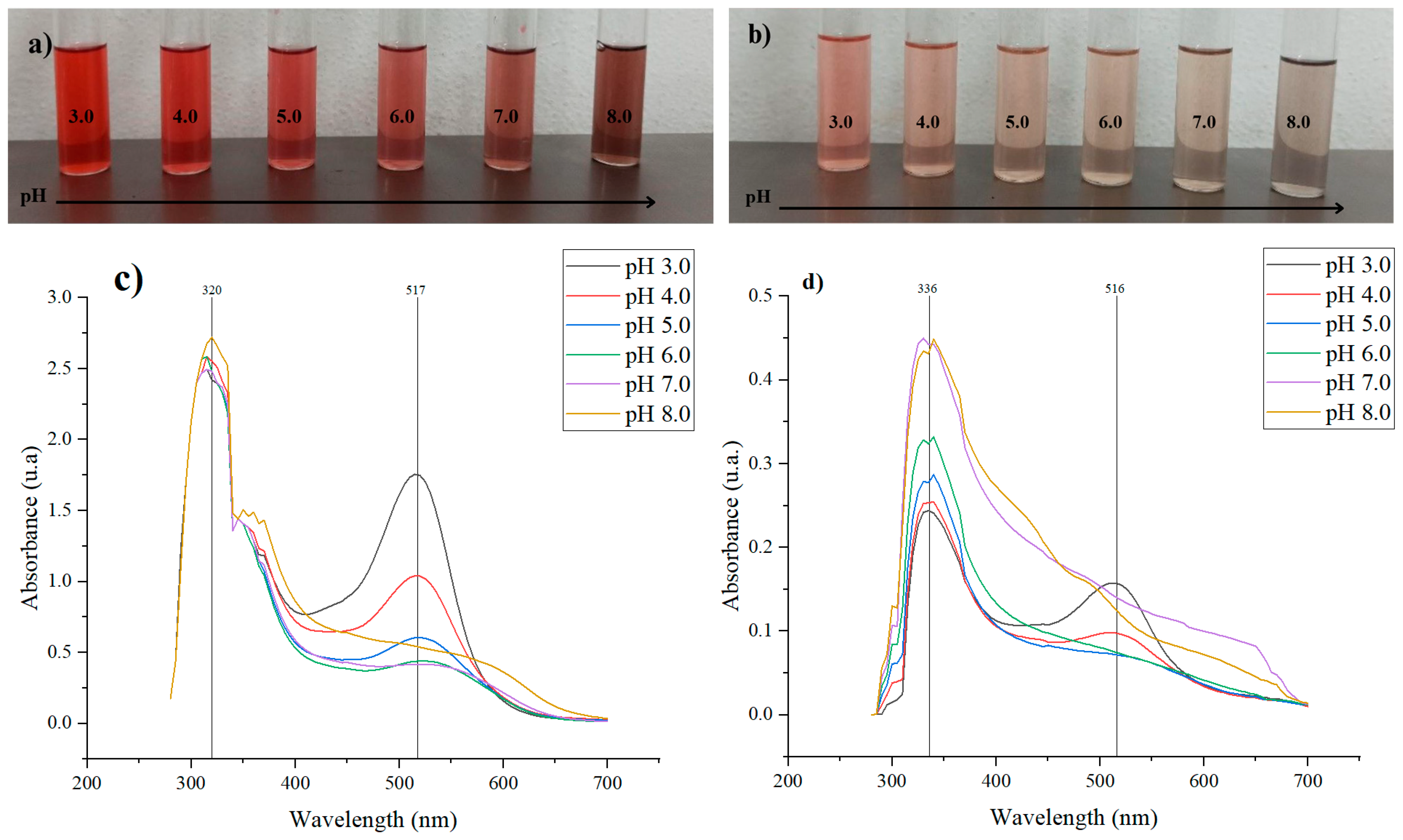 Polymers 17 00933 g001