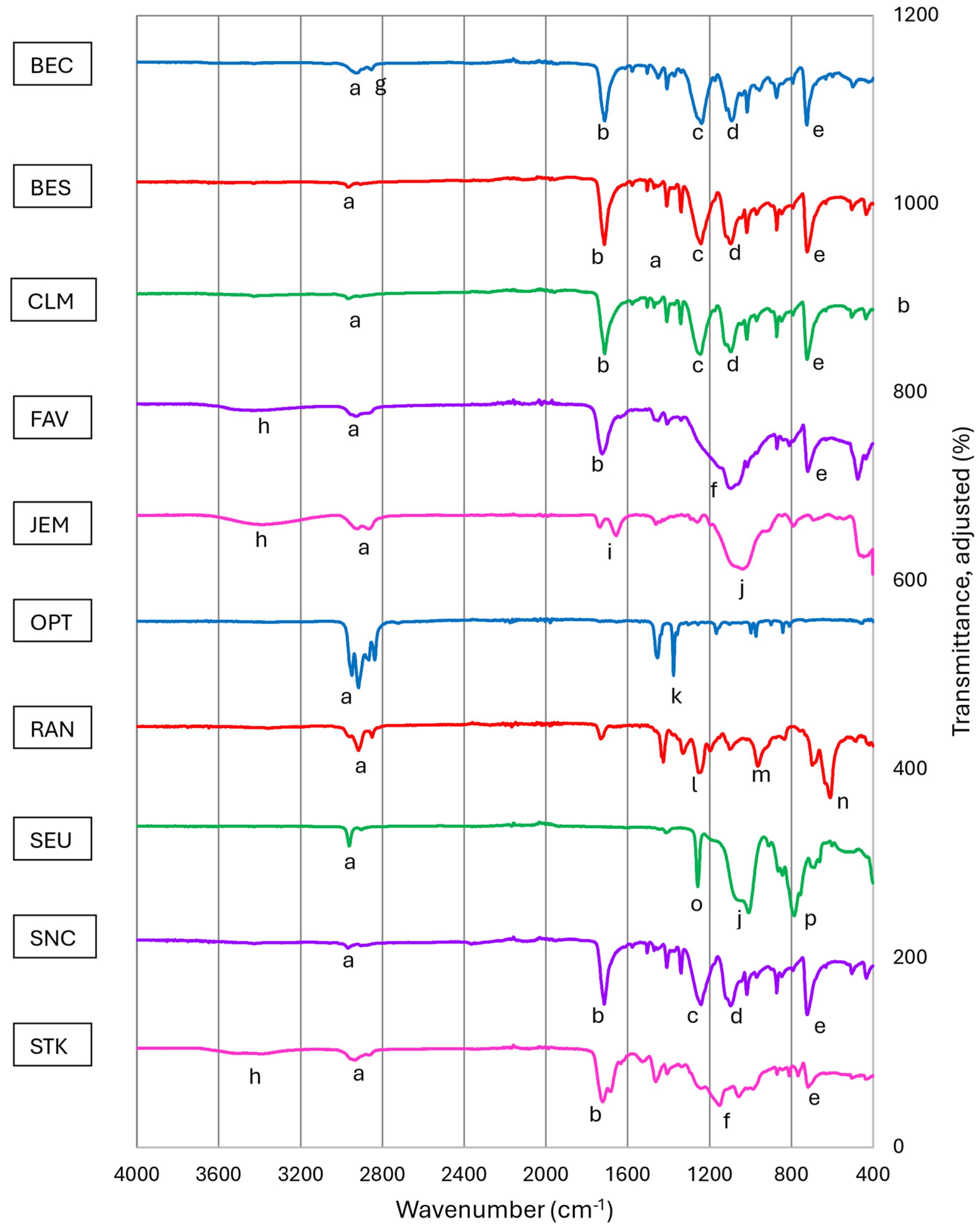 Polymers 17 00937 g005