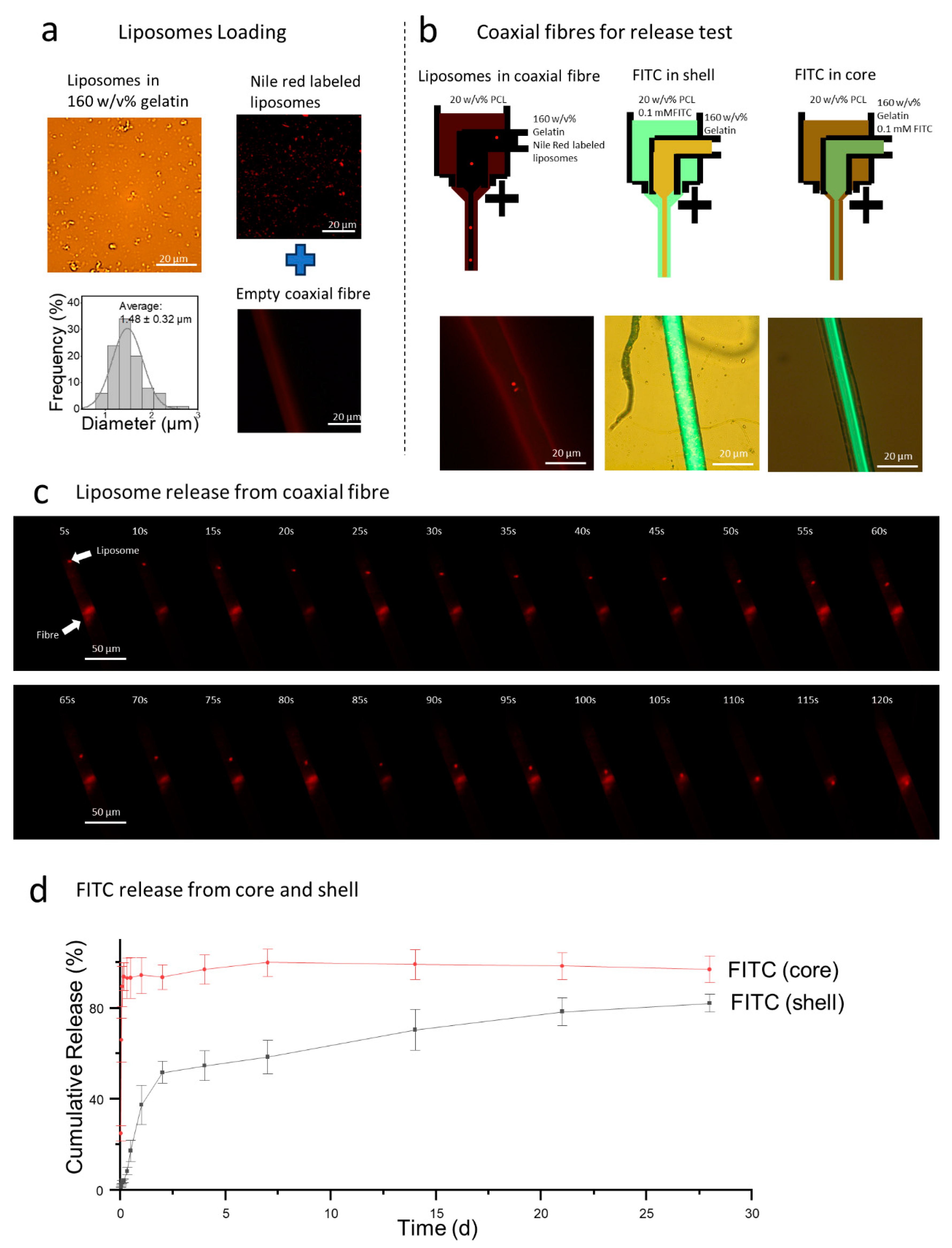 Polymers 17 00944 g004