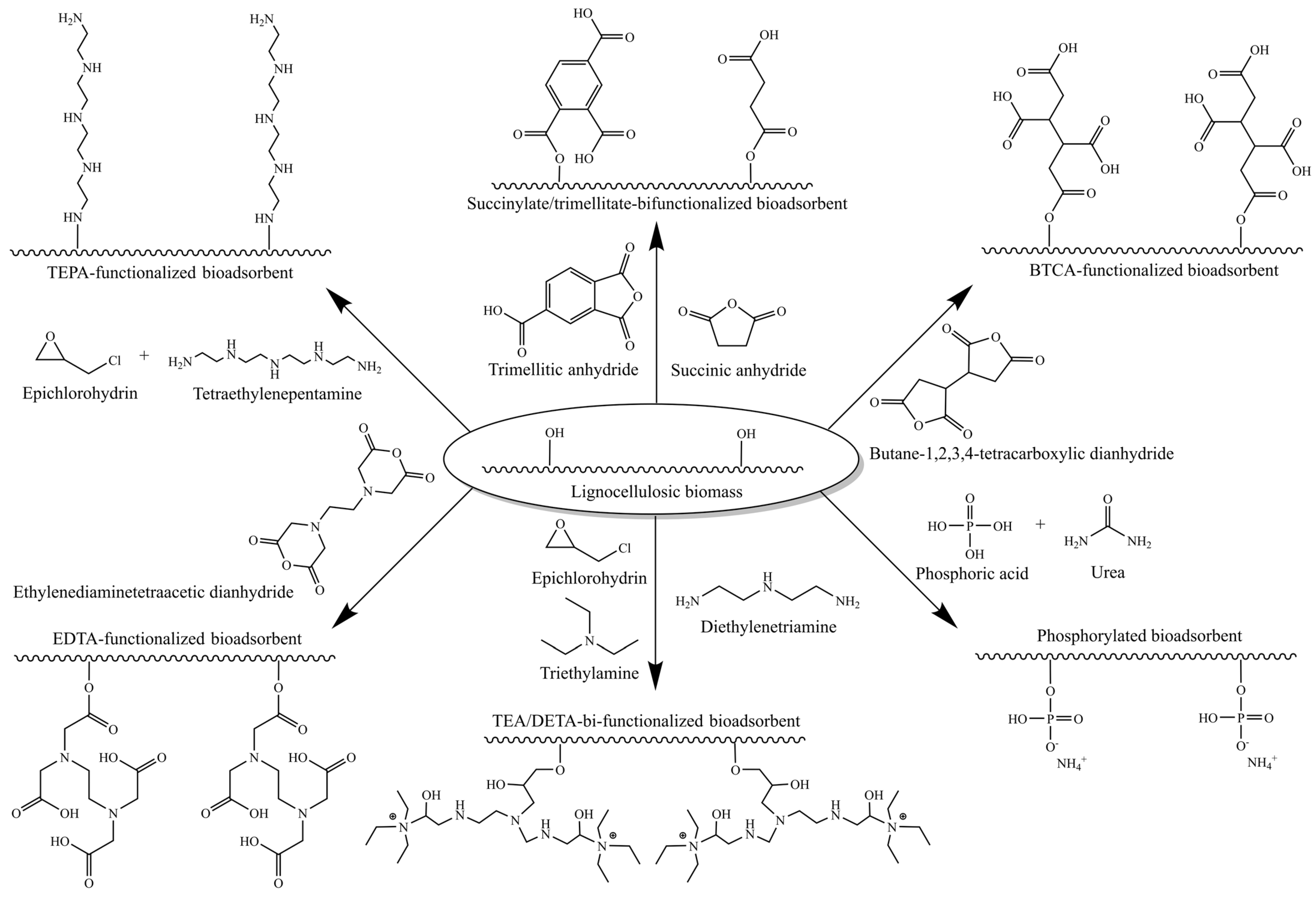 Polymers 17 00953 g005