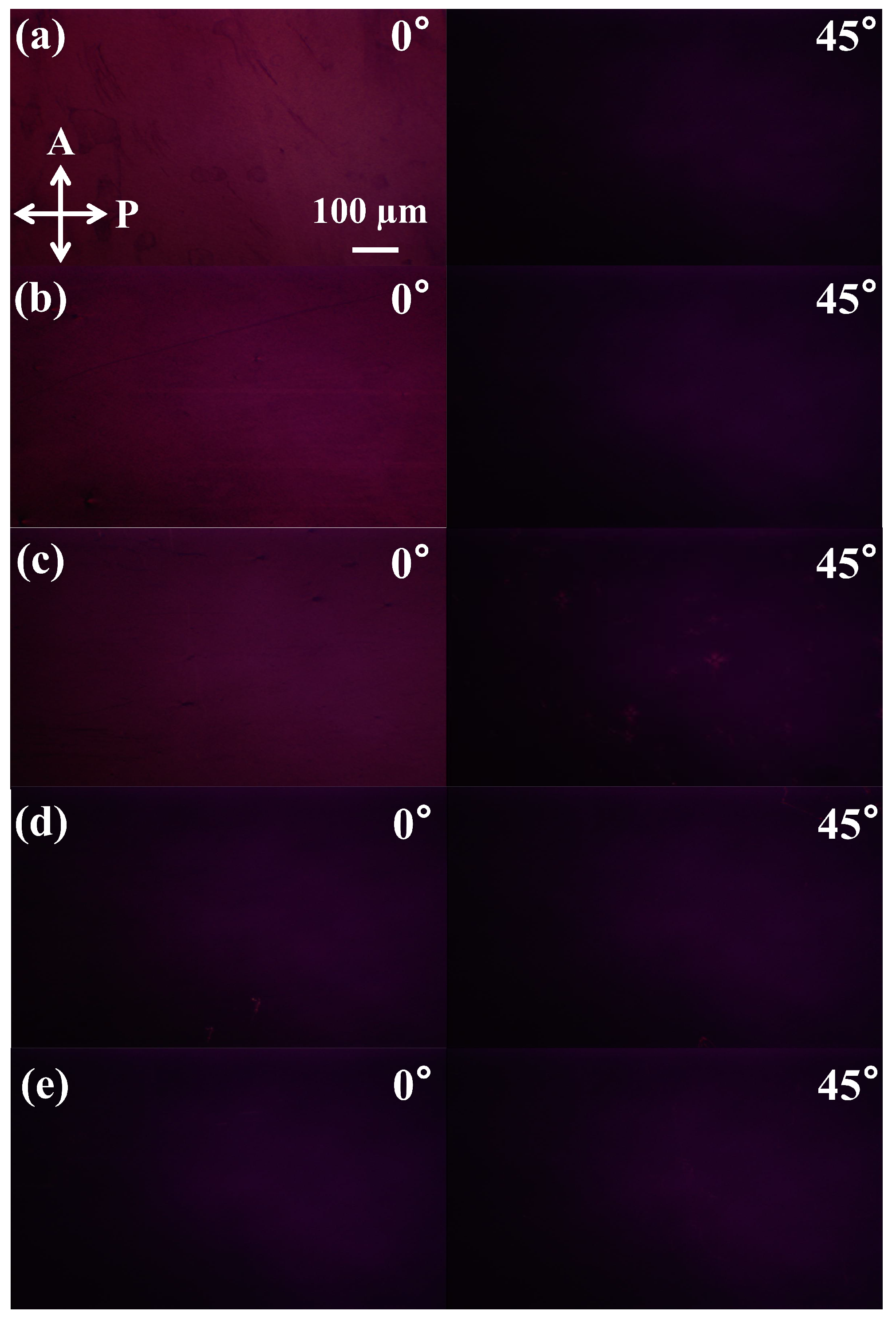 Polymers 17 00958 g004