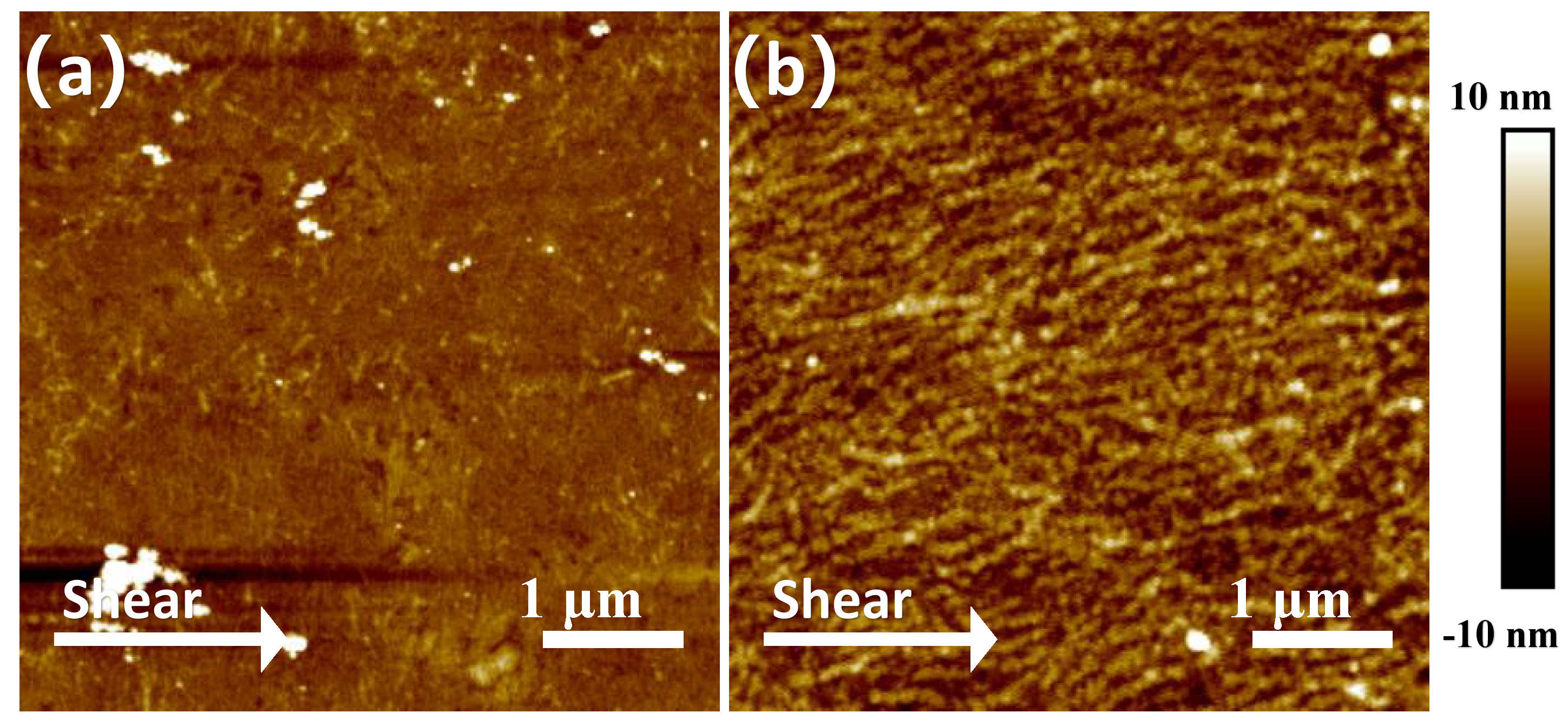 Polymers 17 00958 g005