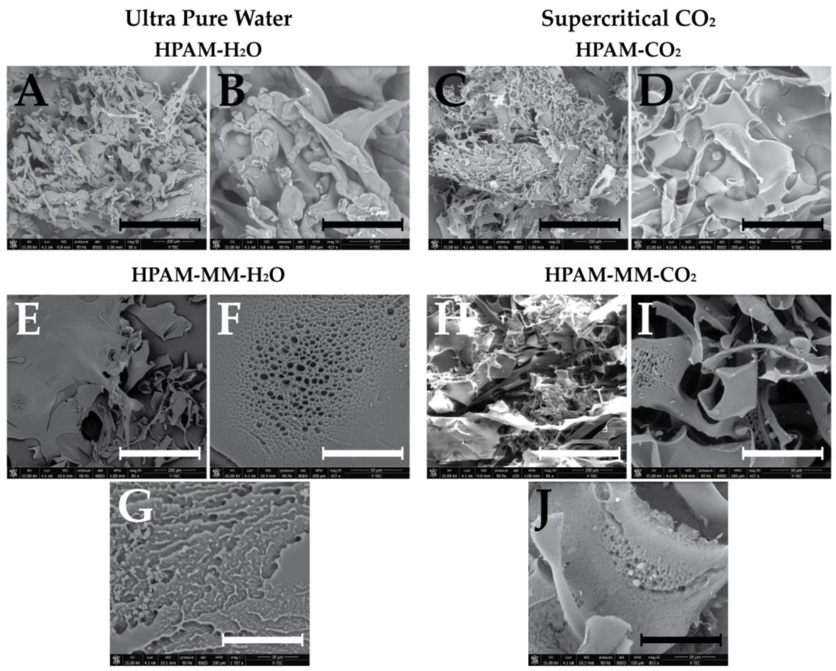 Polymers 17 00964 g008