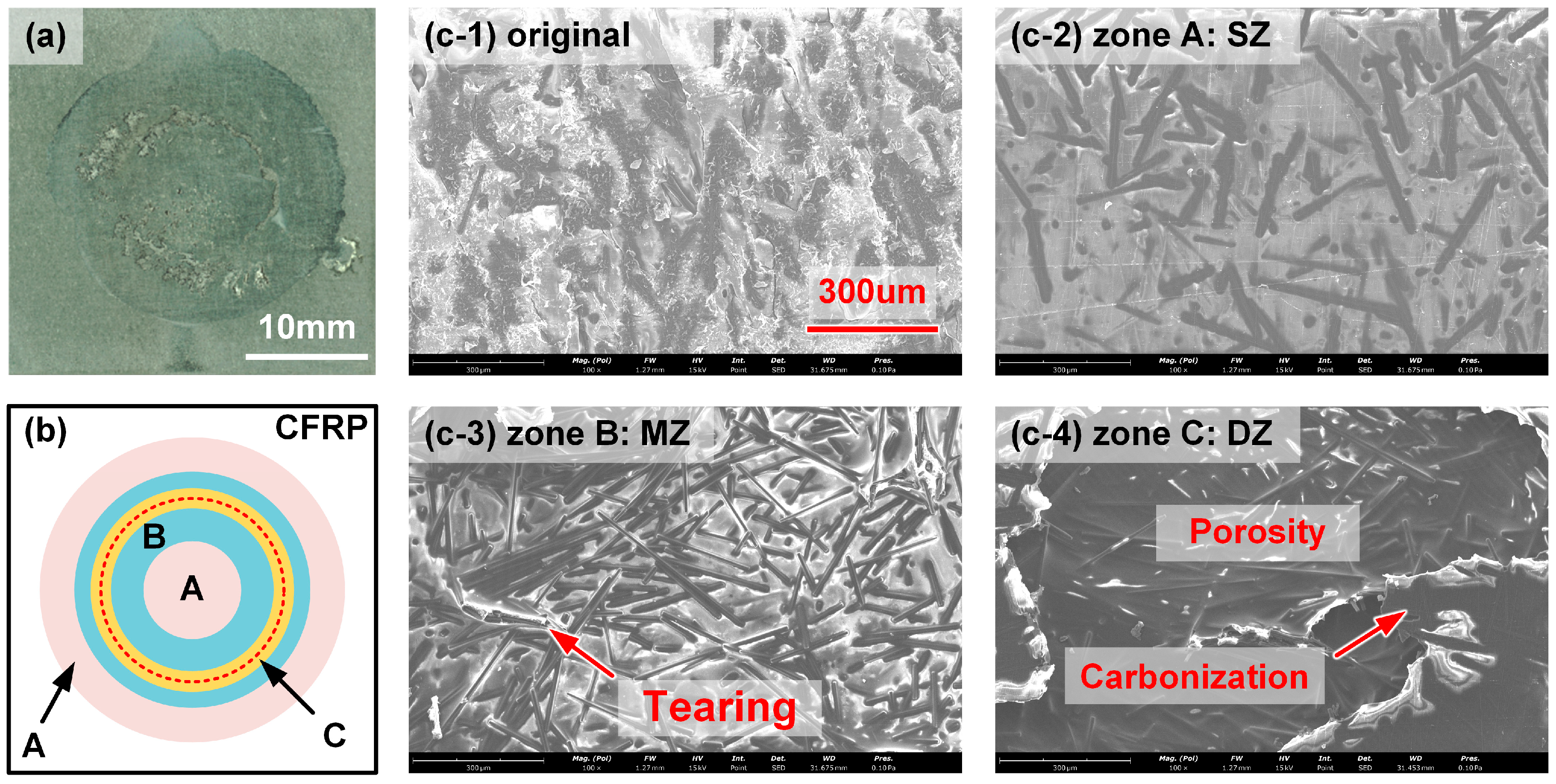 Polymers 17 00997 g012