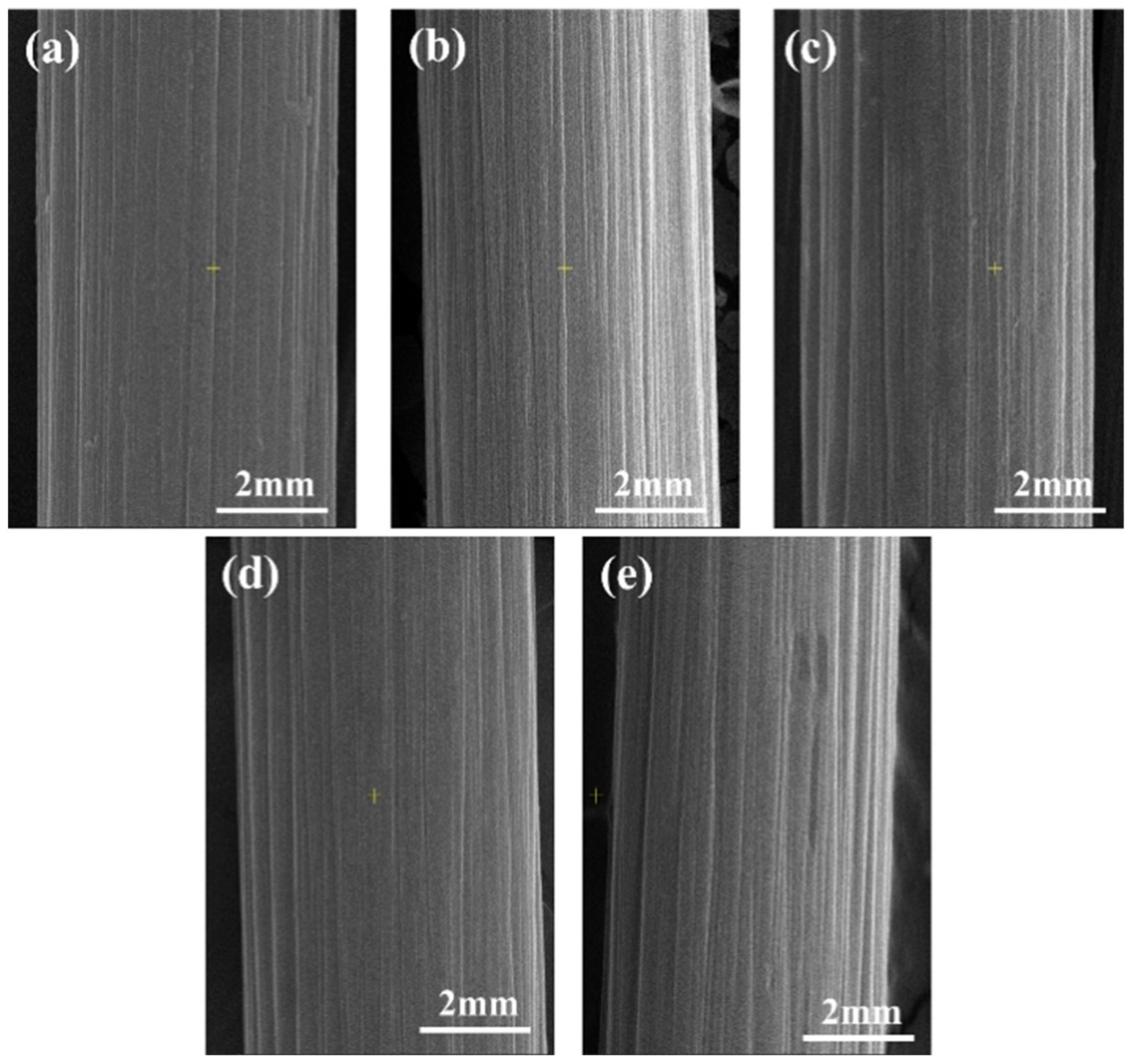 Polymers 17 01007 g003