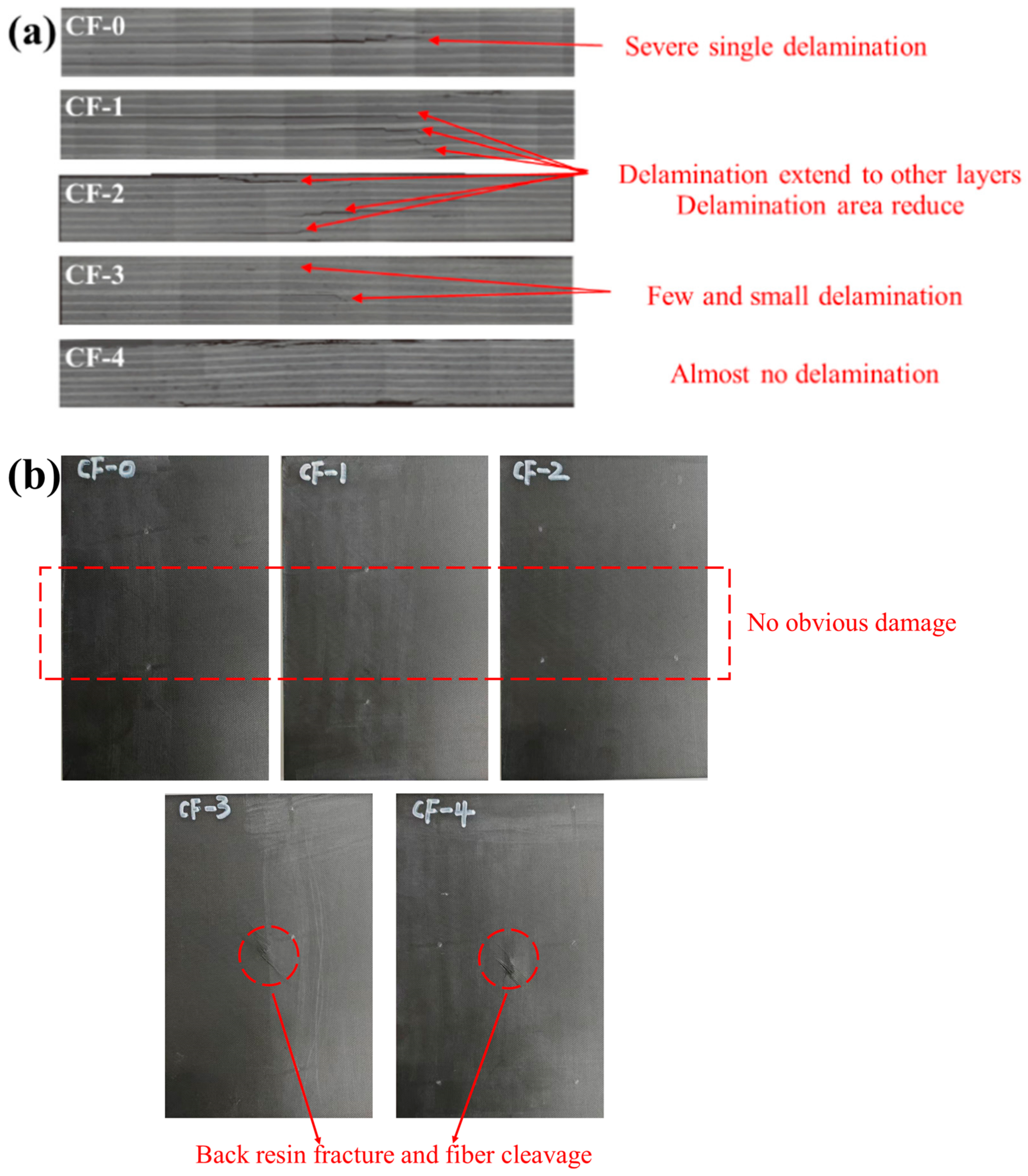 Polymers 17 01007 g012
