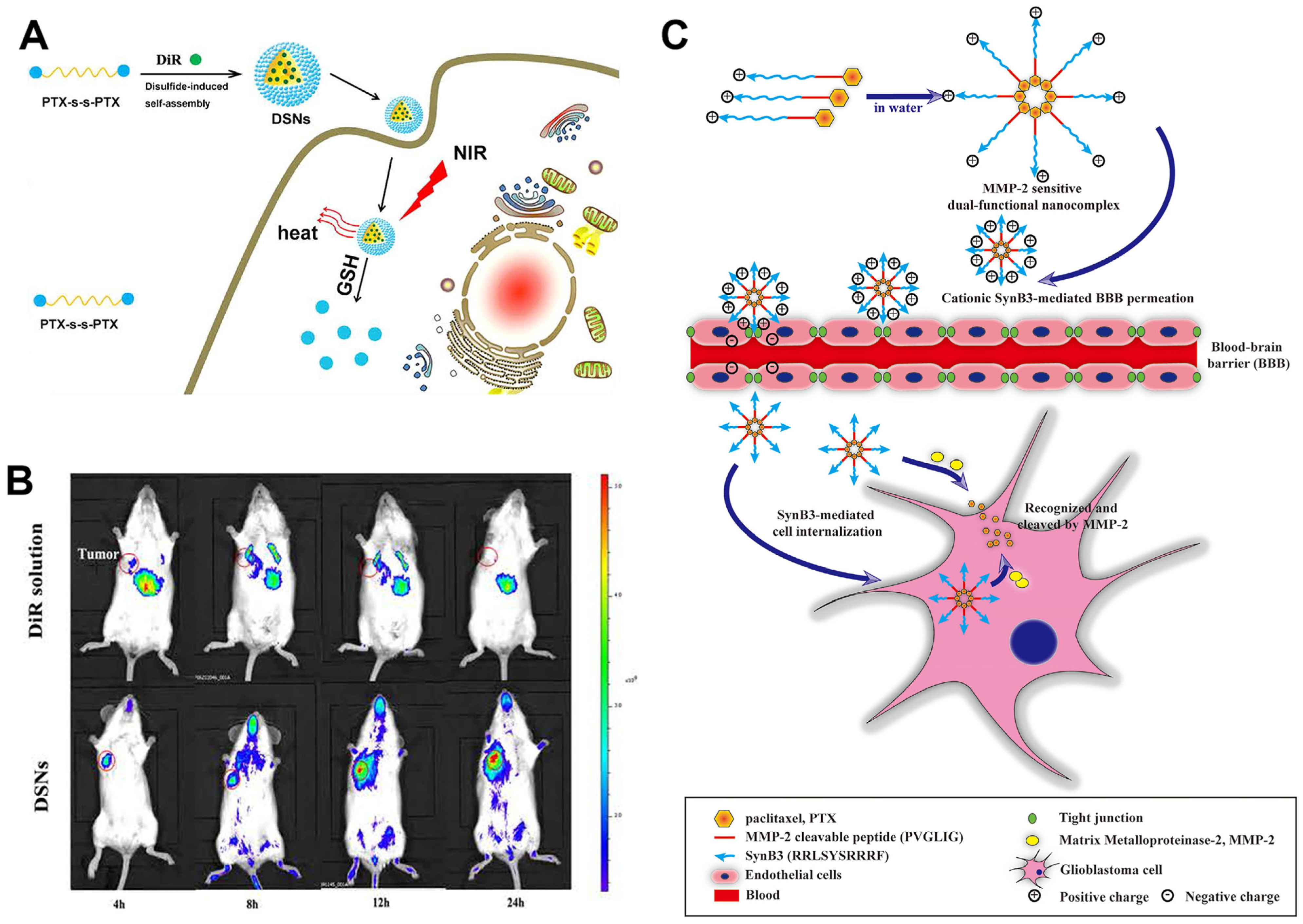 Polymers 17 01010 g003