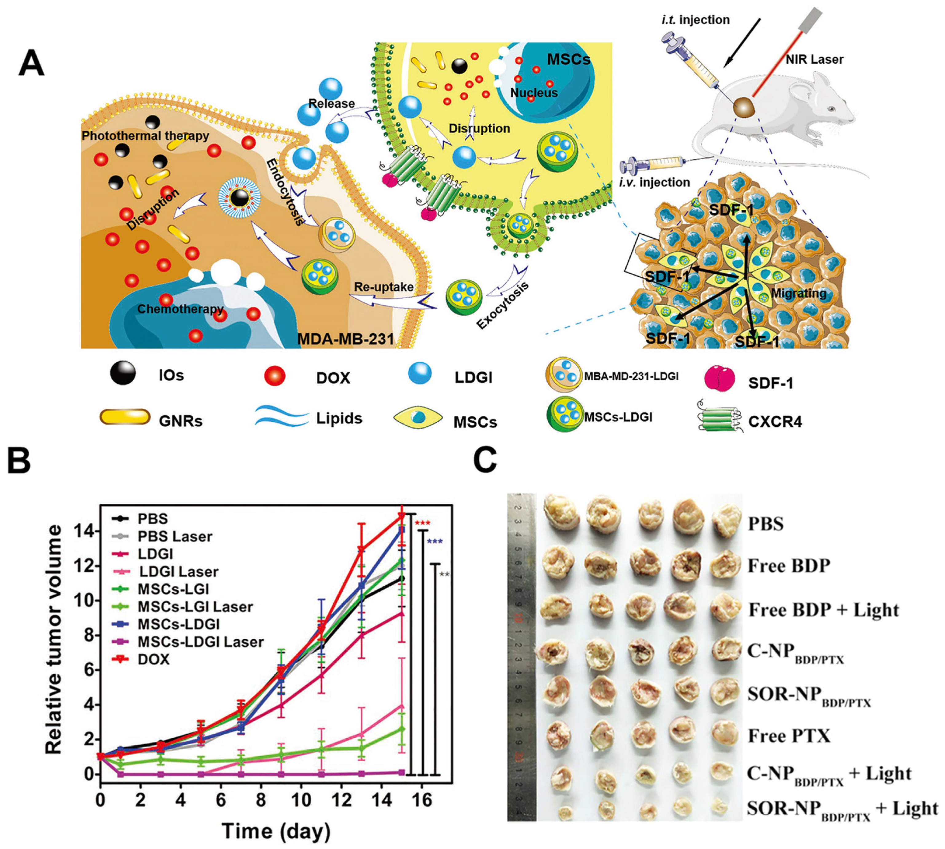 Polymers 17 01010 g004