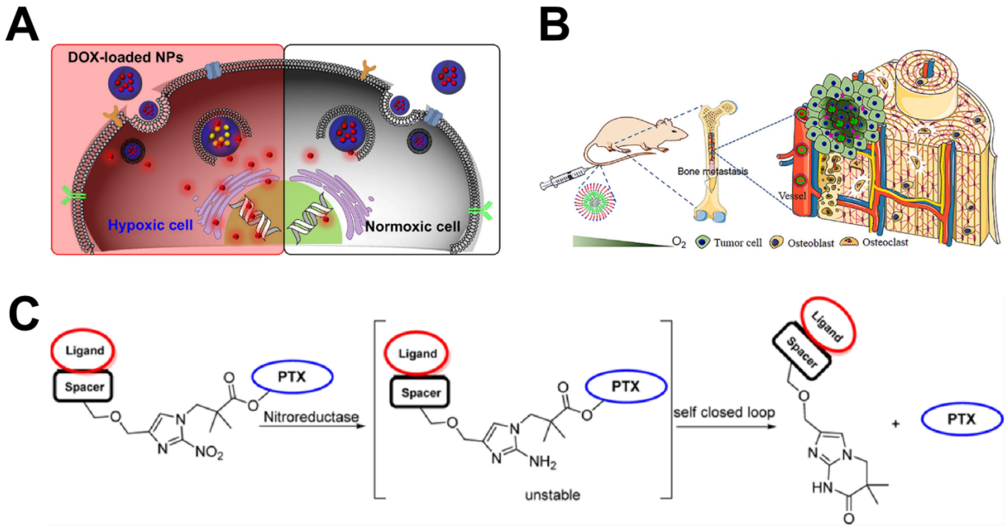 Polymers 17 01010 g006