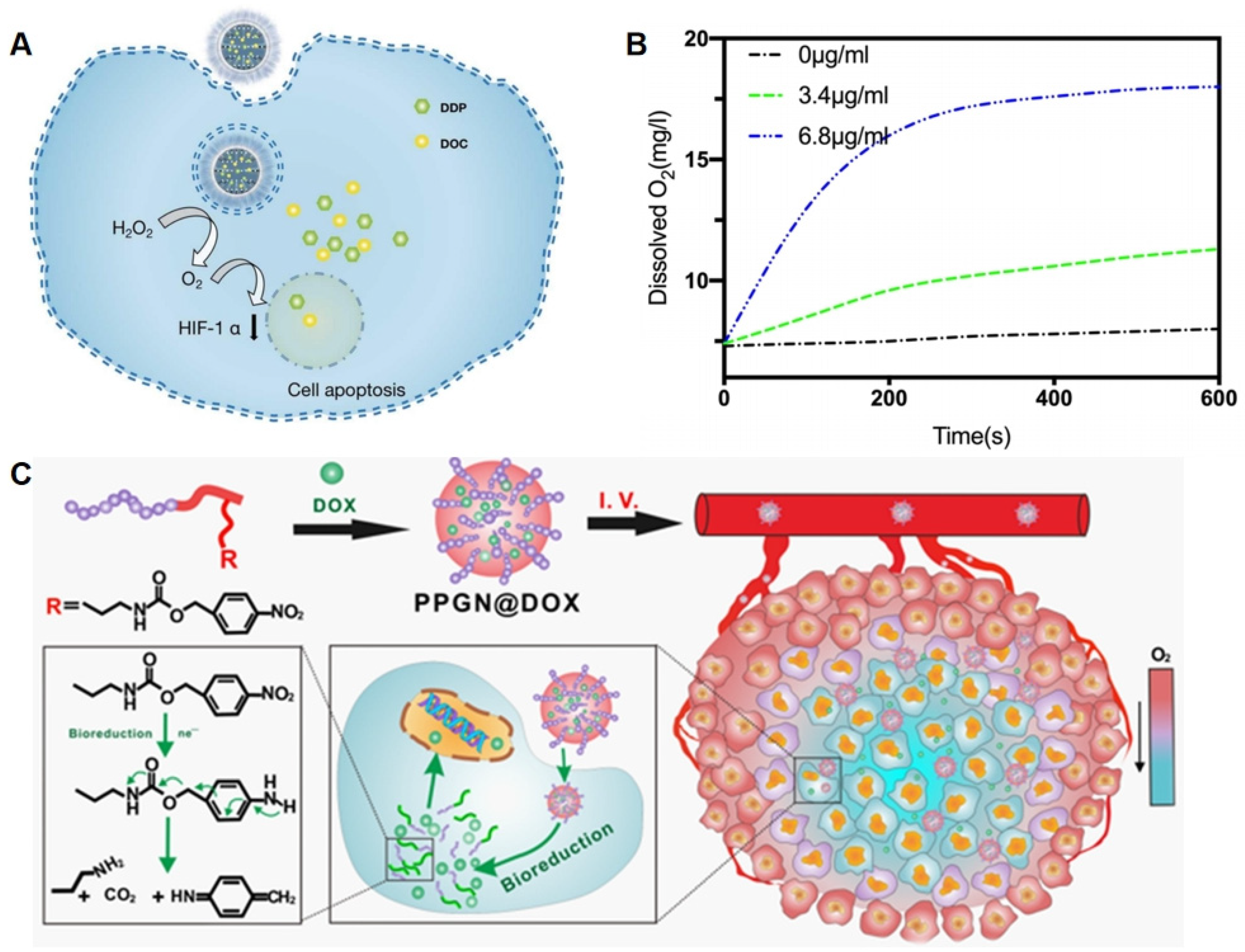 Polymers 17 01010 g007