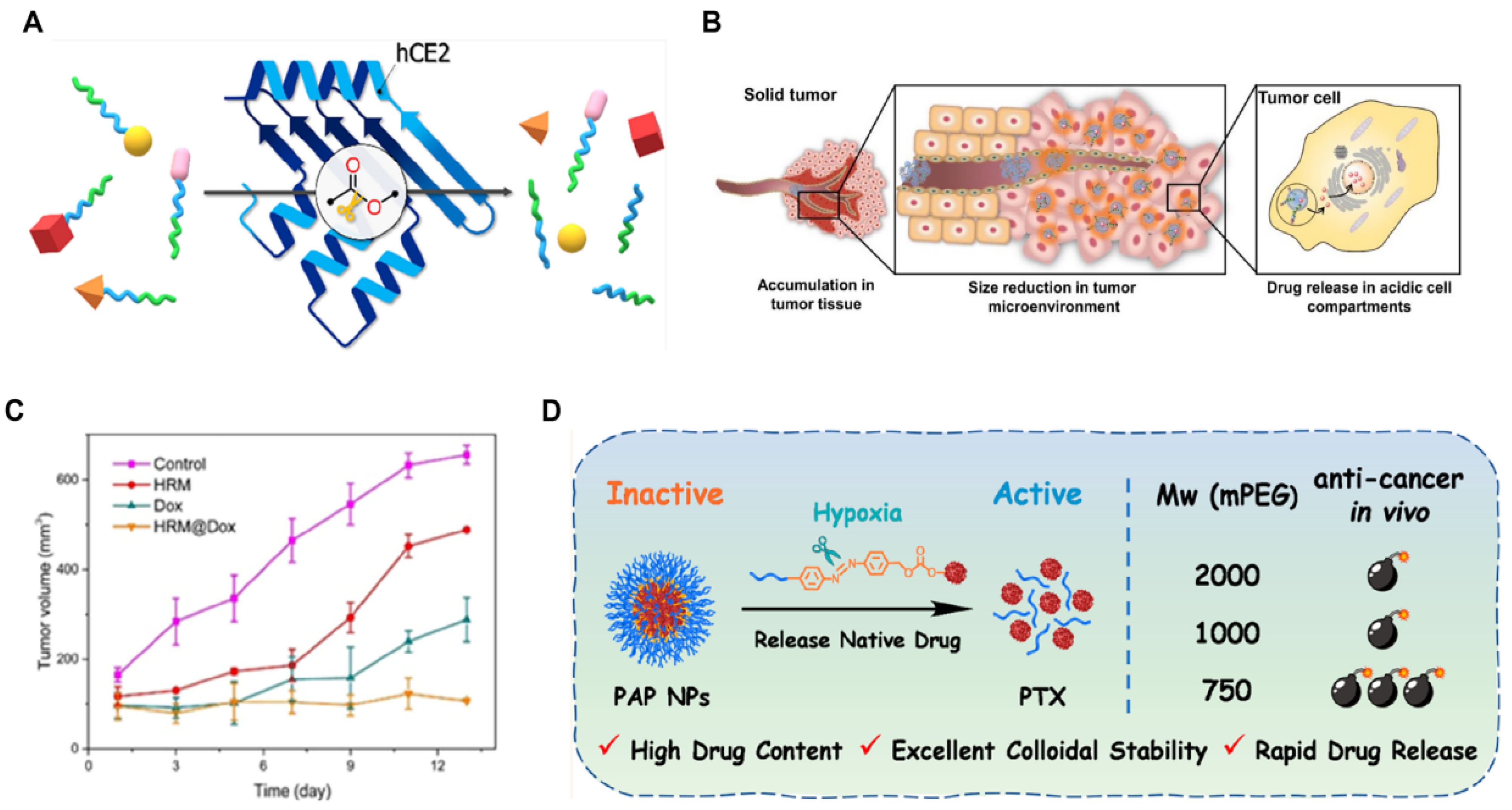 Polymers 17 01010 g008